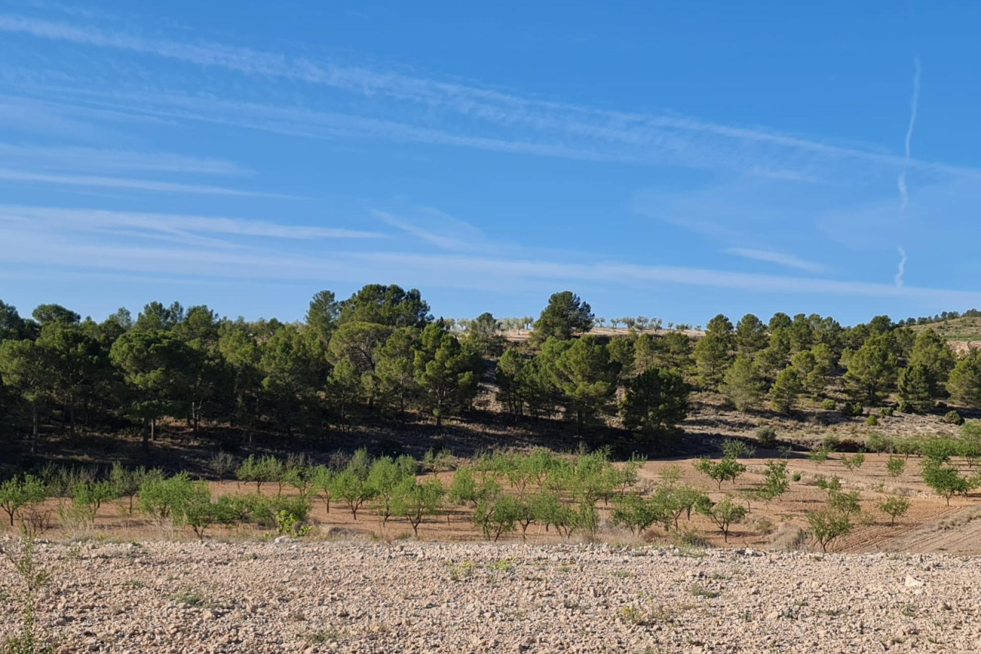 Resale - Plot / Land - Raspay - Inland