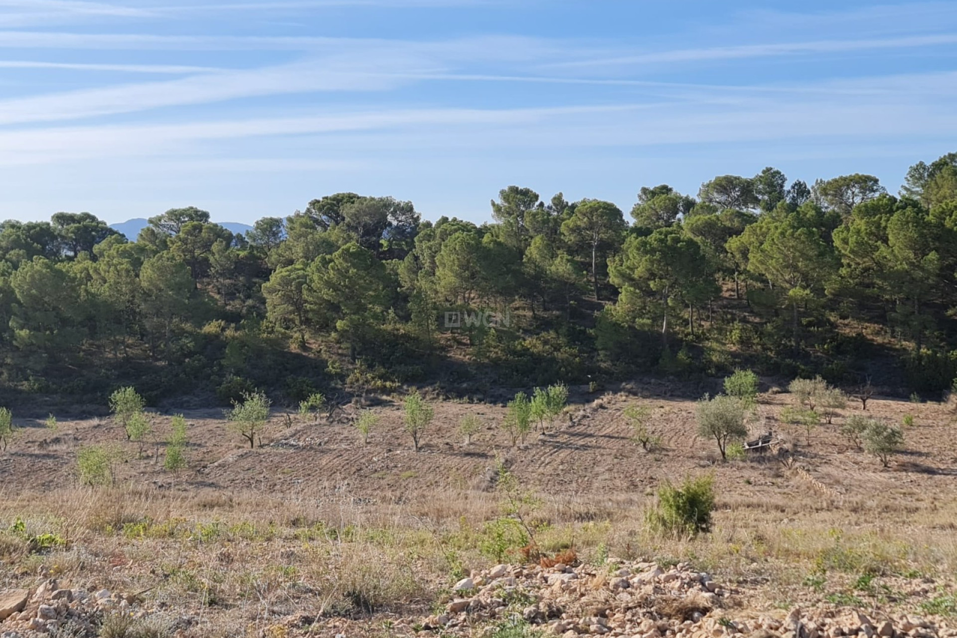 Resale - Plot / Land - Raspay - Inland