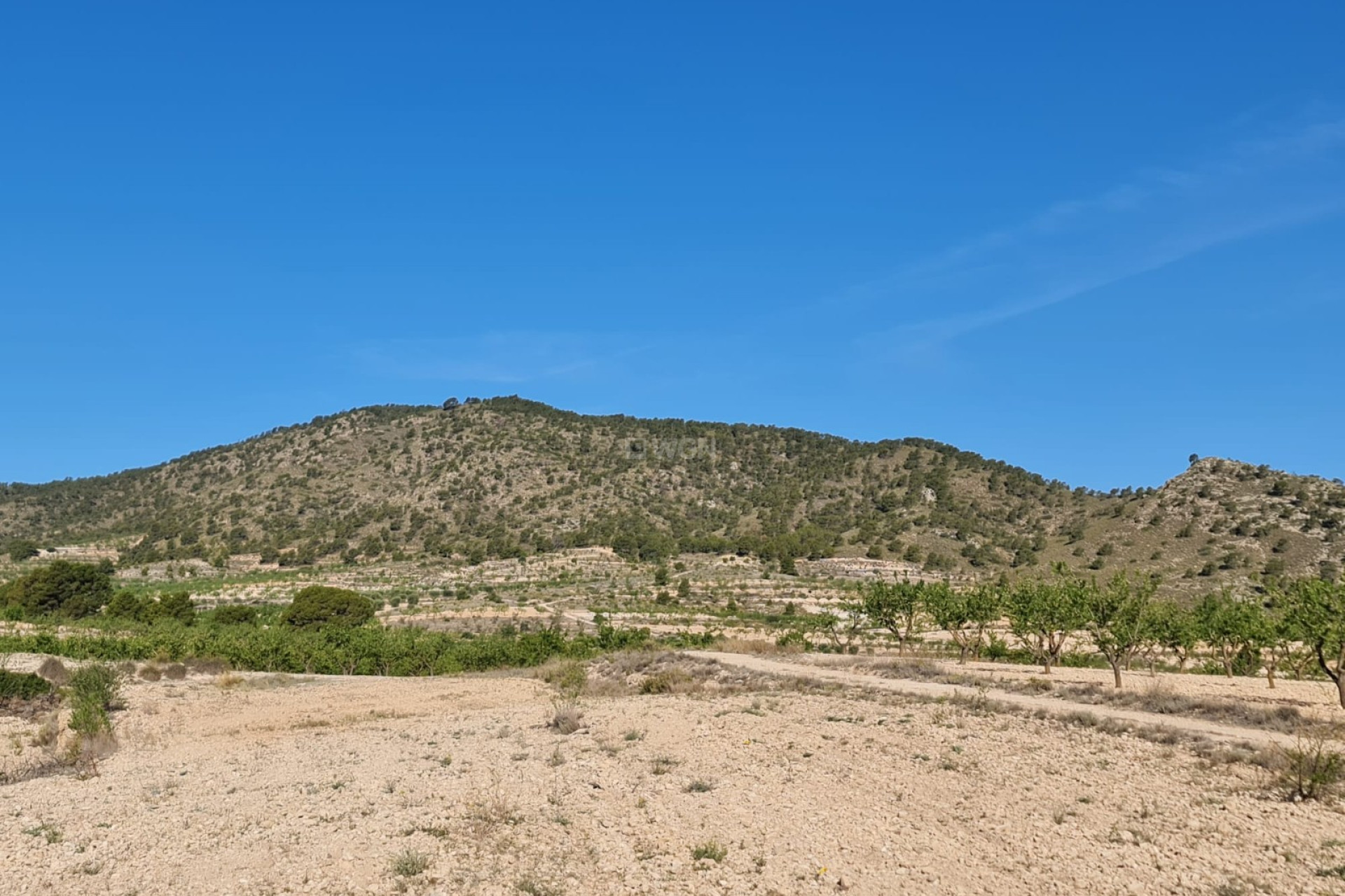 Resale - Plot / Land - Raspay - Inland