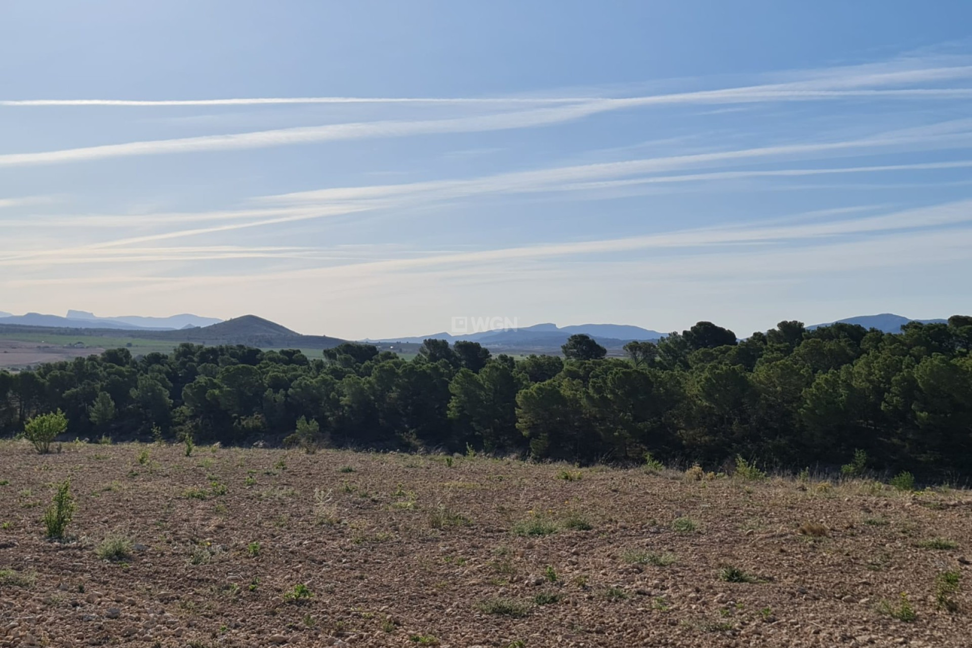 Resale - Plot / Land - Raspay - Inland