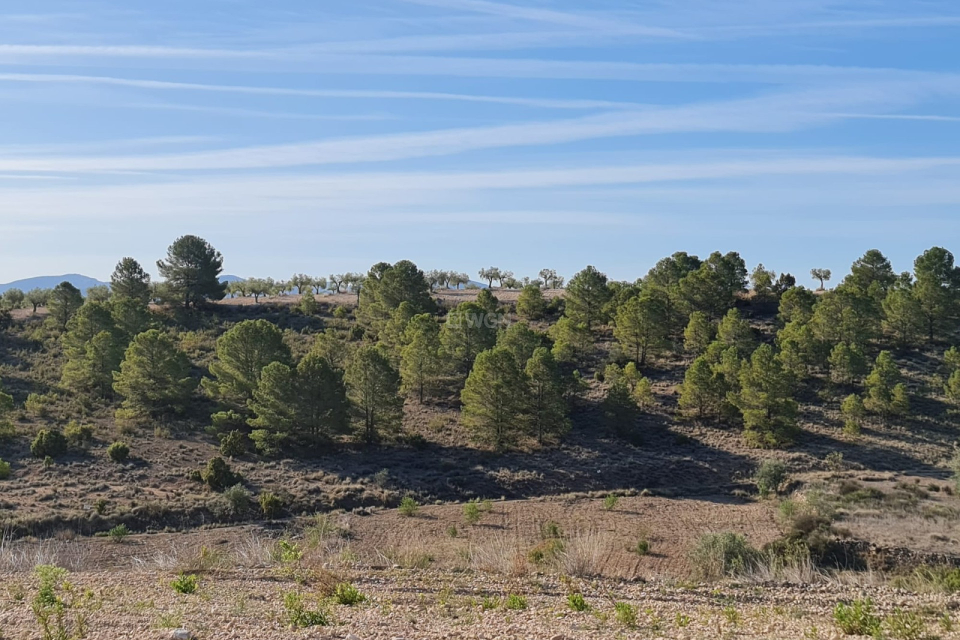 Resale - Plot / Land - Raspay - Inland