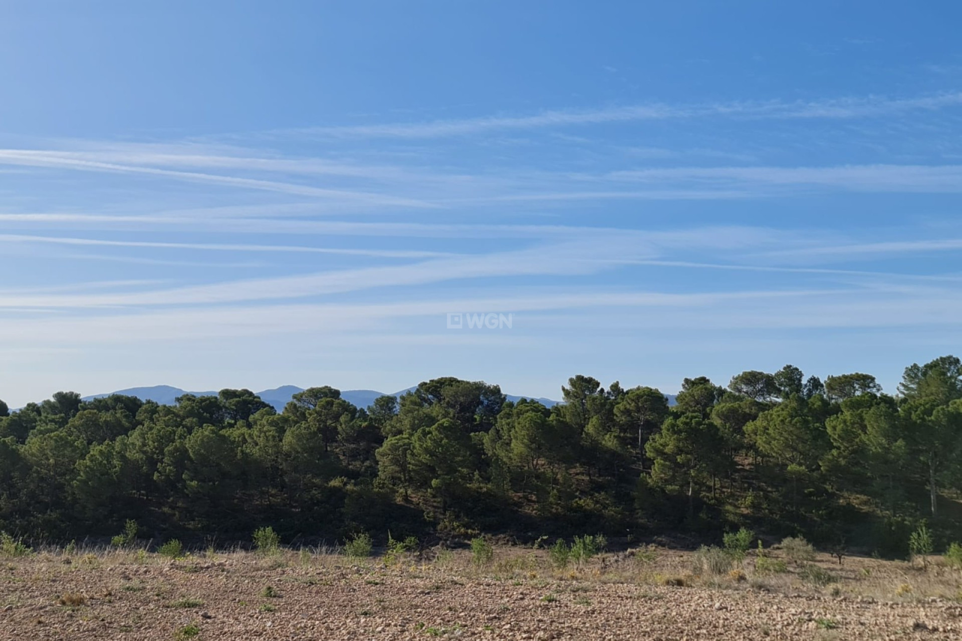 Resale - Plot / Land - Raspay - Inland