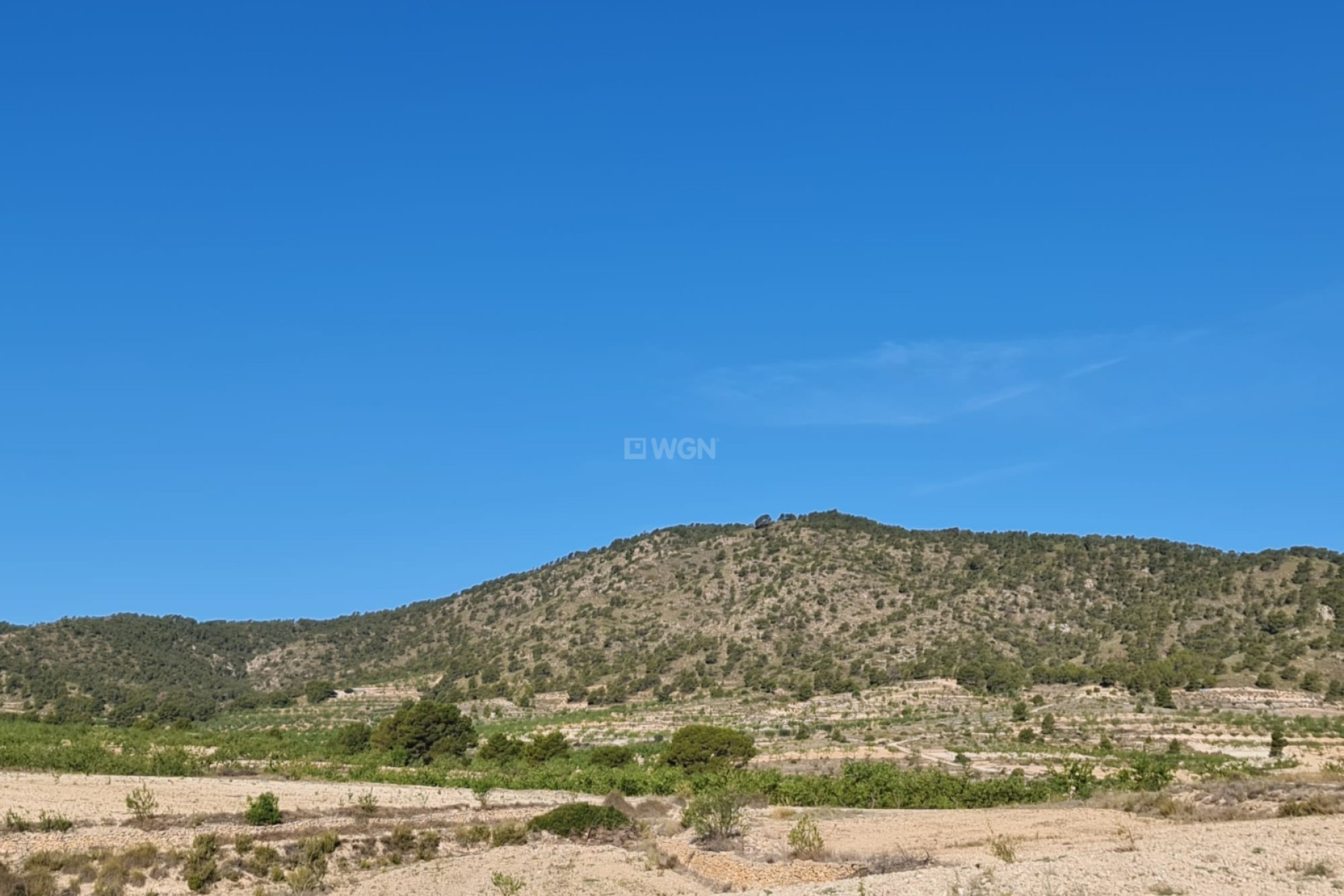 Resale - Plot / Land - Raspay - Inland