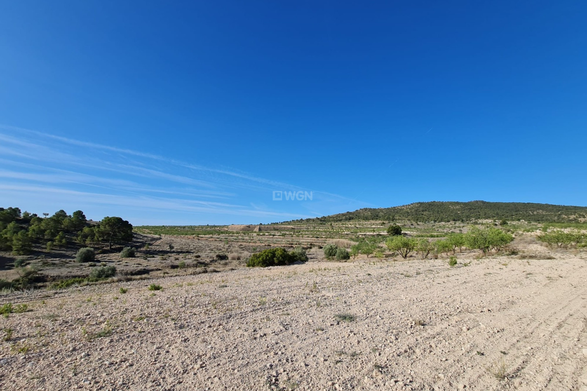 Resale - Plot / Land - Raspay - Inland