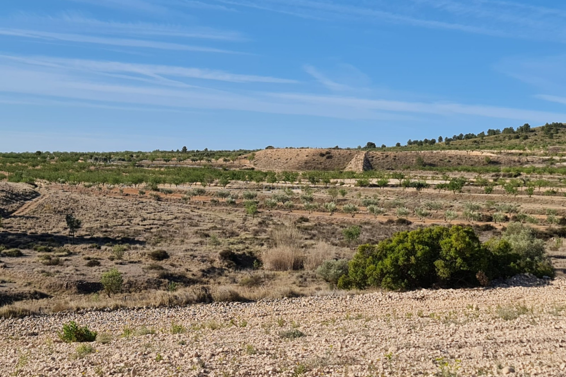 Resale - Plot / Land - Raspay - Inland