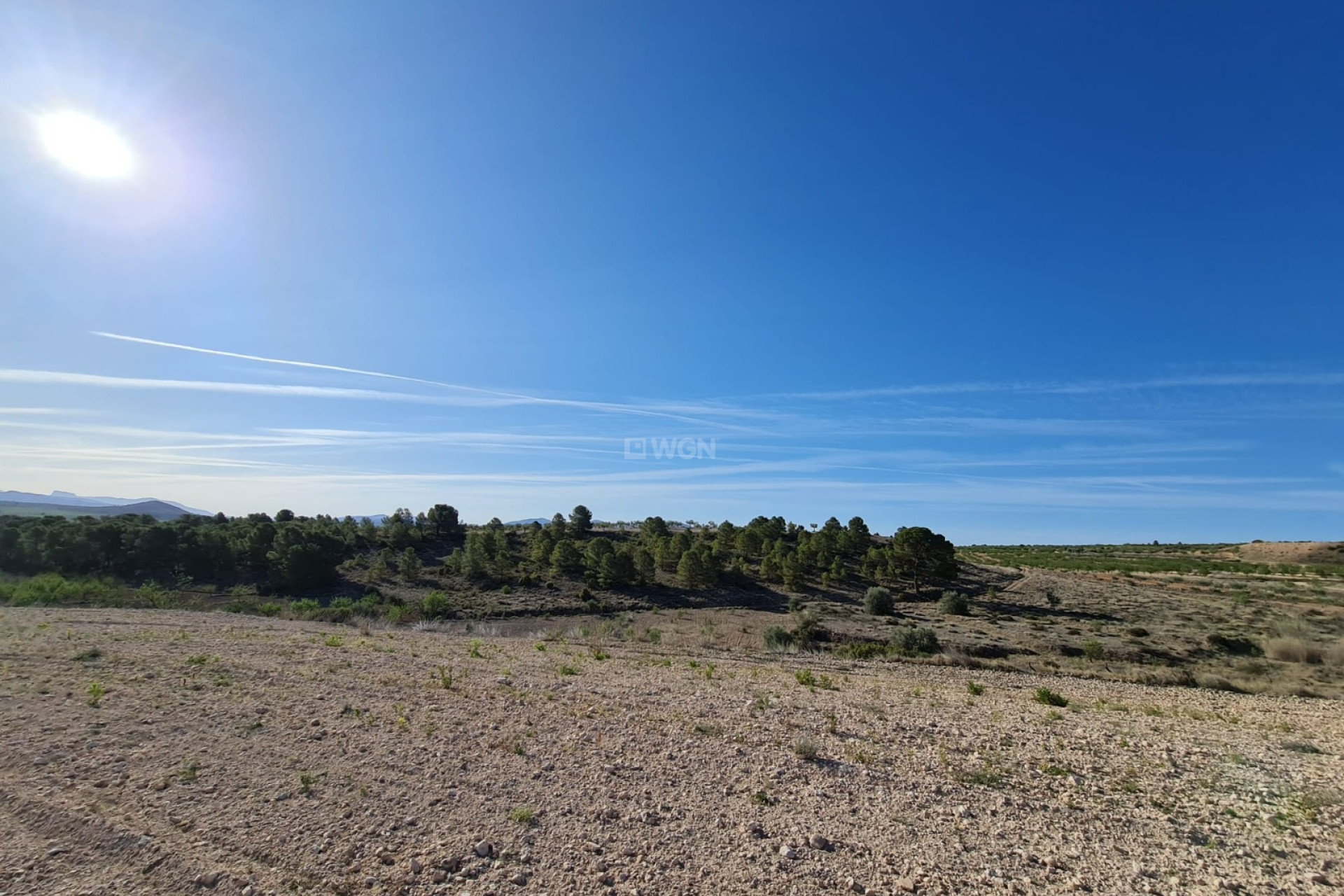 Resale - Plot / Land - Raspay - Inland