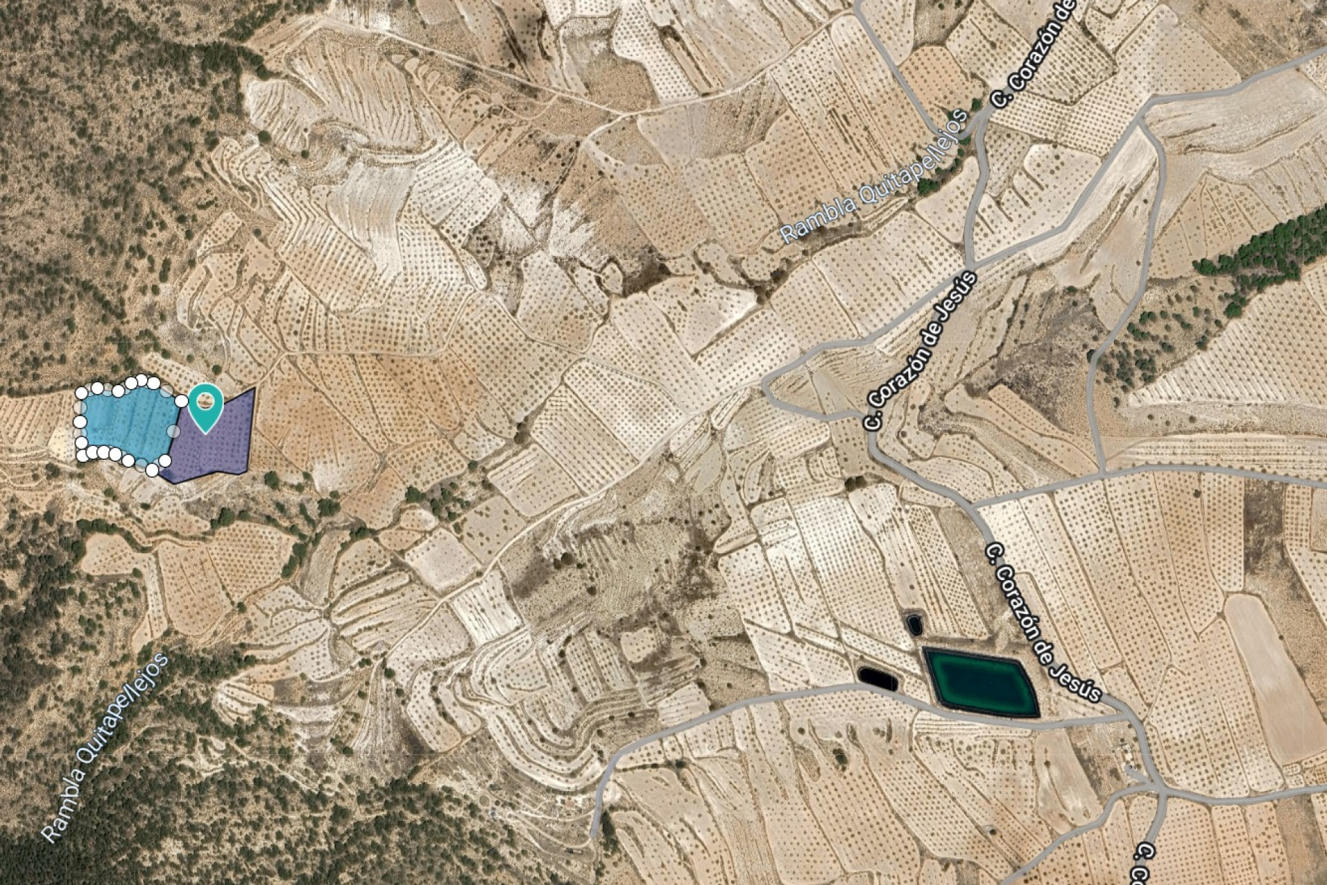 Resale - Plot / Land - Raspay - Inland