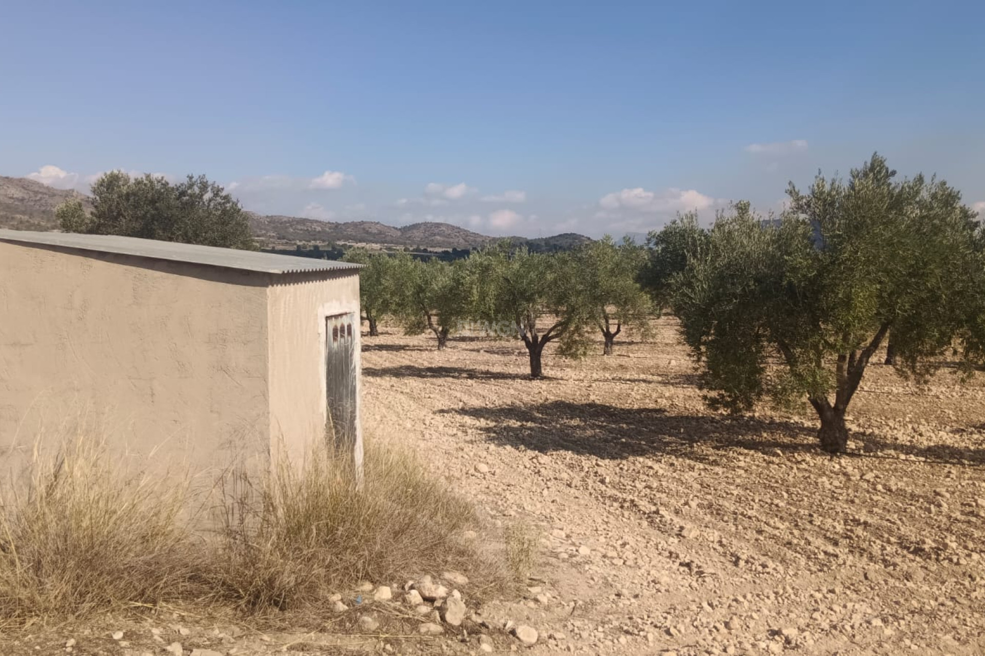 Resale - Plot / Land - Salinas - Inland
