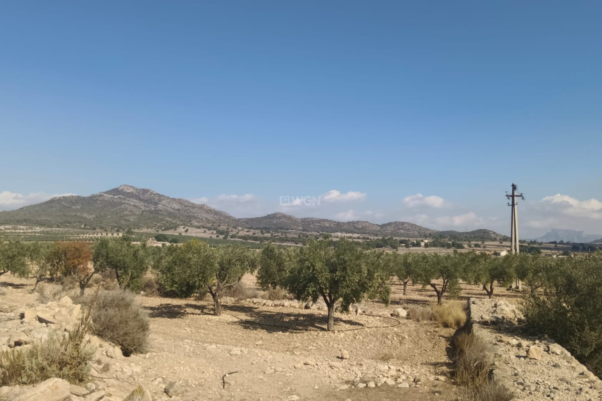 Resale - Plot / Land - Salinas - Inland