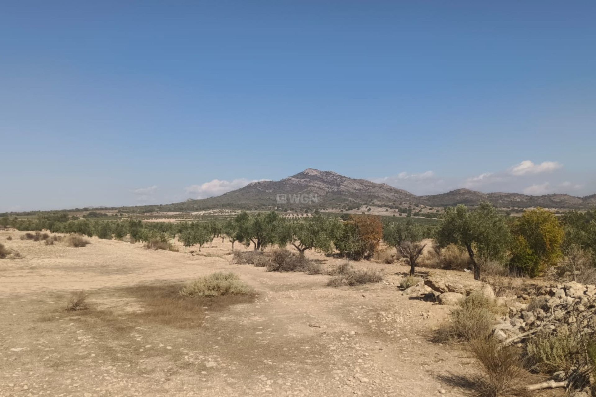 Resale - Plot / Land - Salinas - Inland