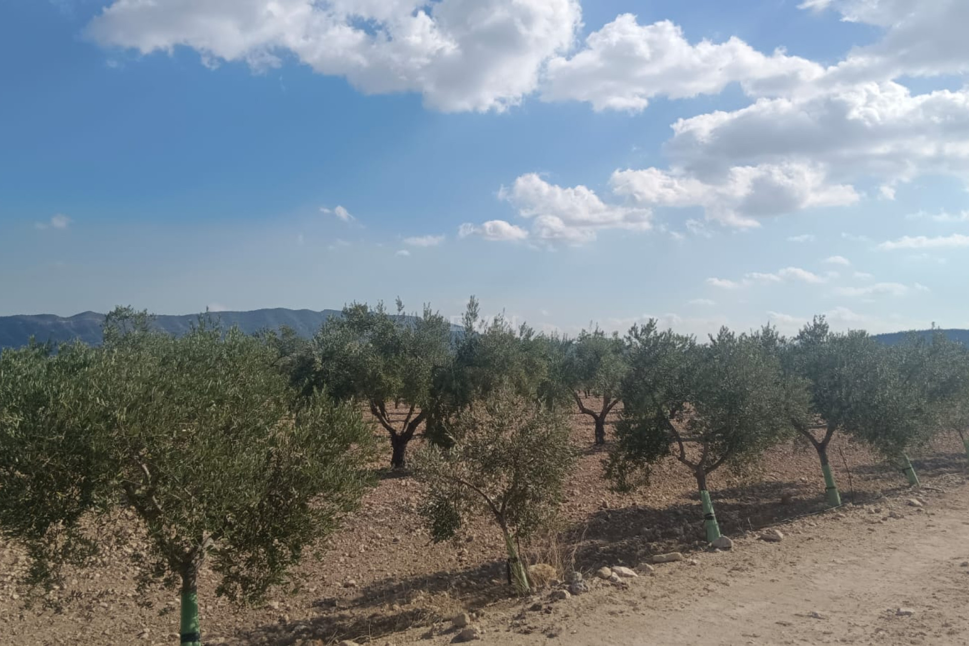 Resale - Plot / Land - Salinas - Inland