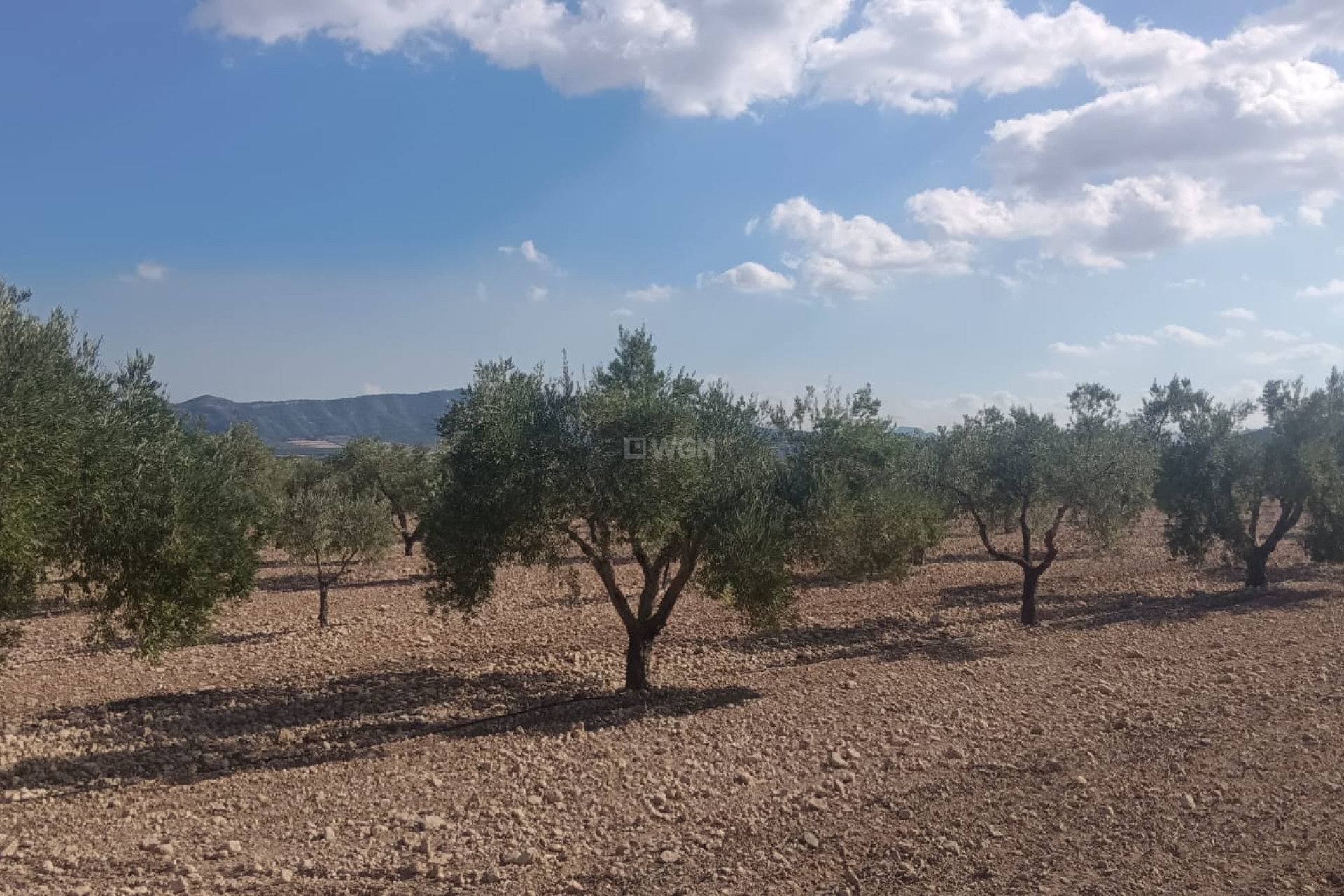 Resale - Plot / Land - Salinas - Inland