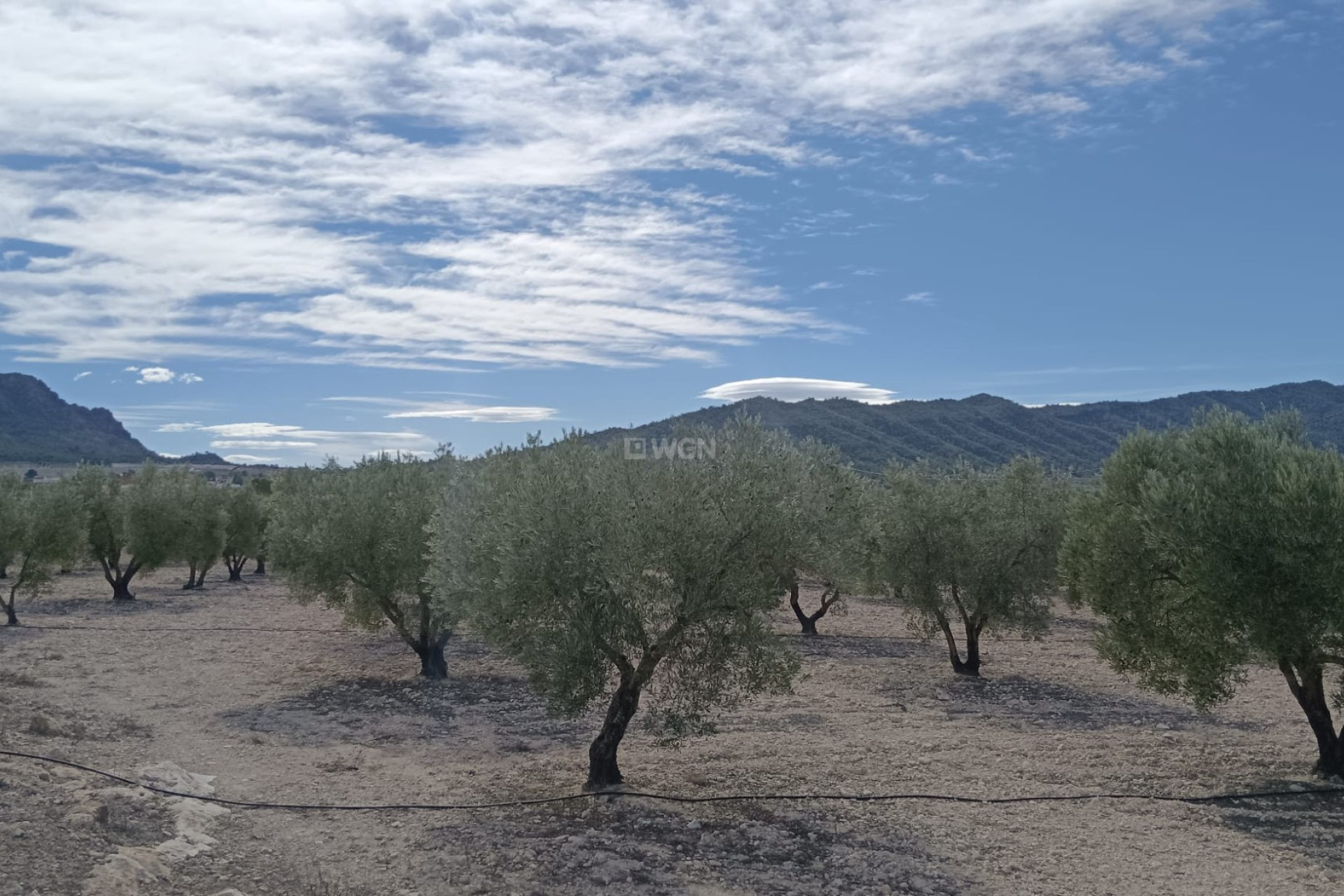 Resale - Plot / Land - Salinas - Inland