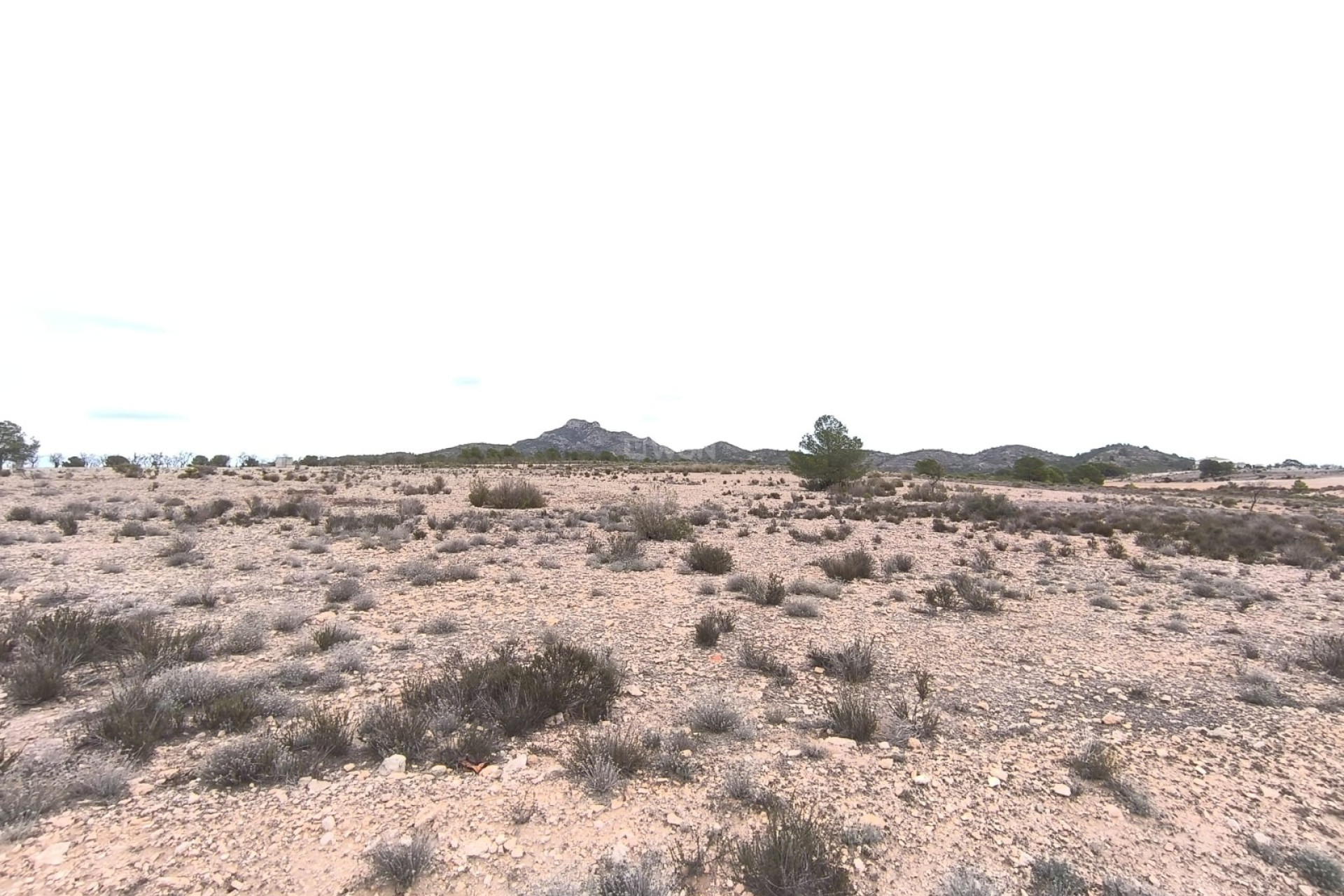 Resale - Plot / Land - Salinas - Inland