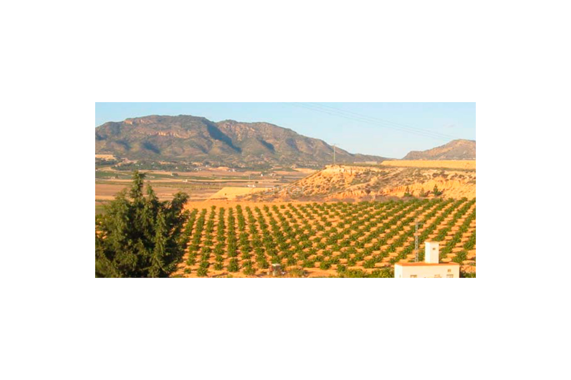 Resale - Plot / Land - Torre Pacheco - Inland