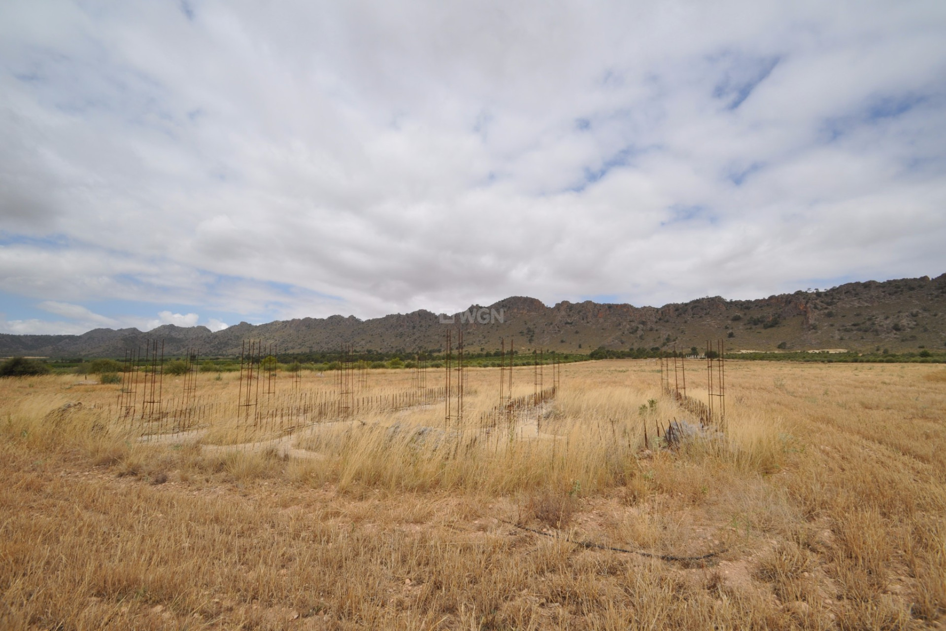 Resale - Plot / Land - Yecla - Inland