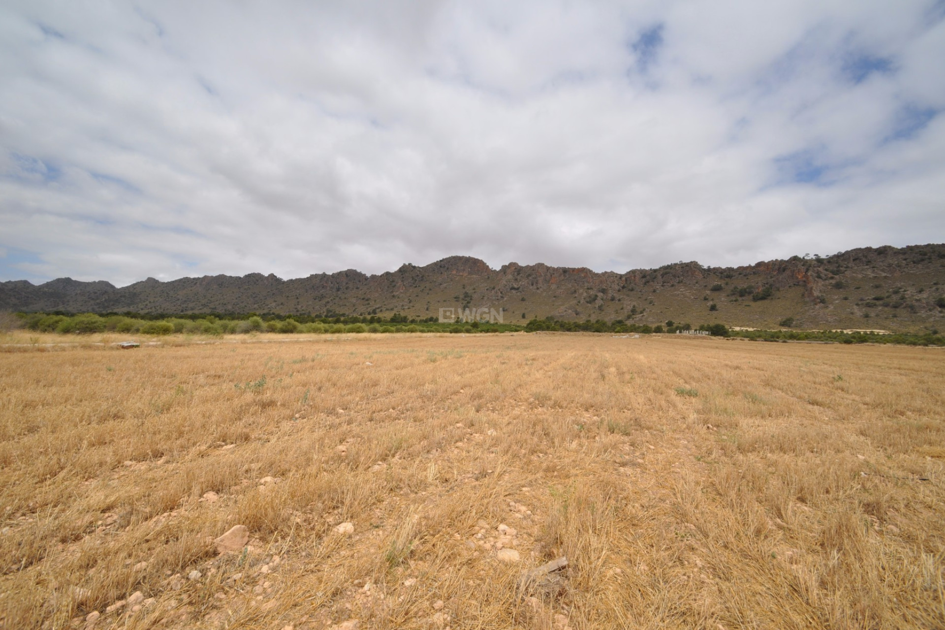 Resale - Plot / Land - Yecla - Inland