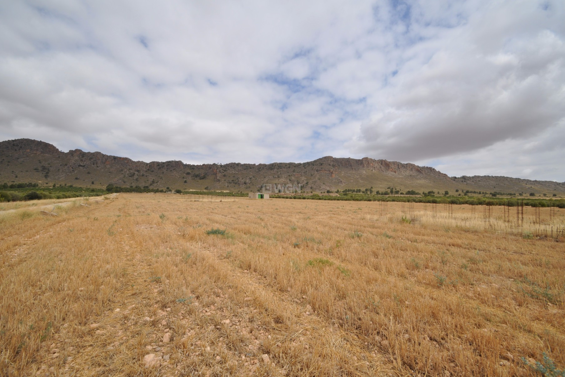 Resale - Plot / Land - Yecla - Inland