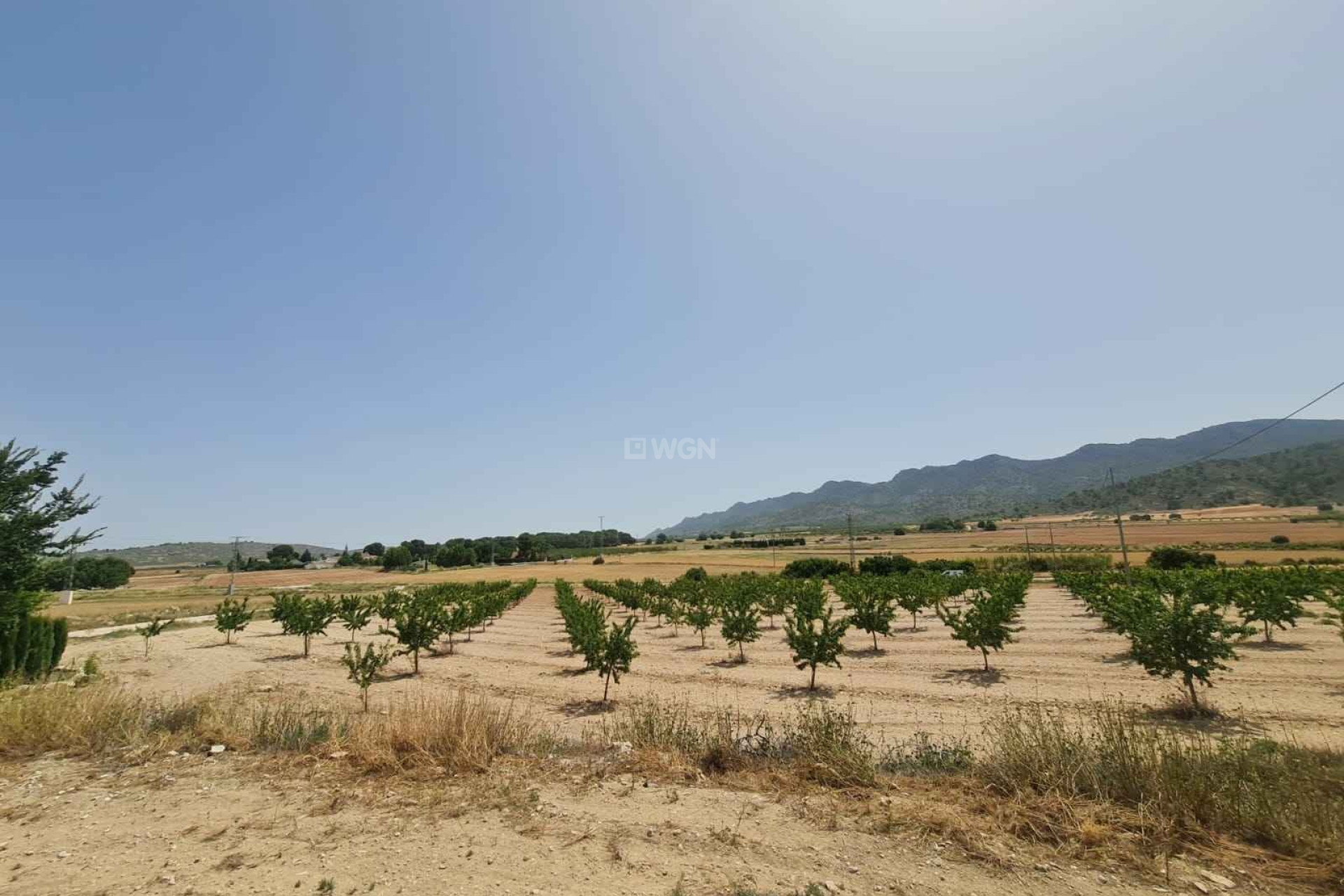 Resale - Plot / Land - Yecla - Inland