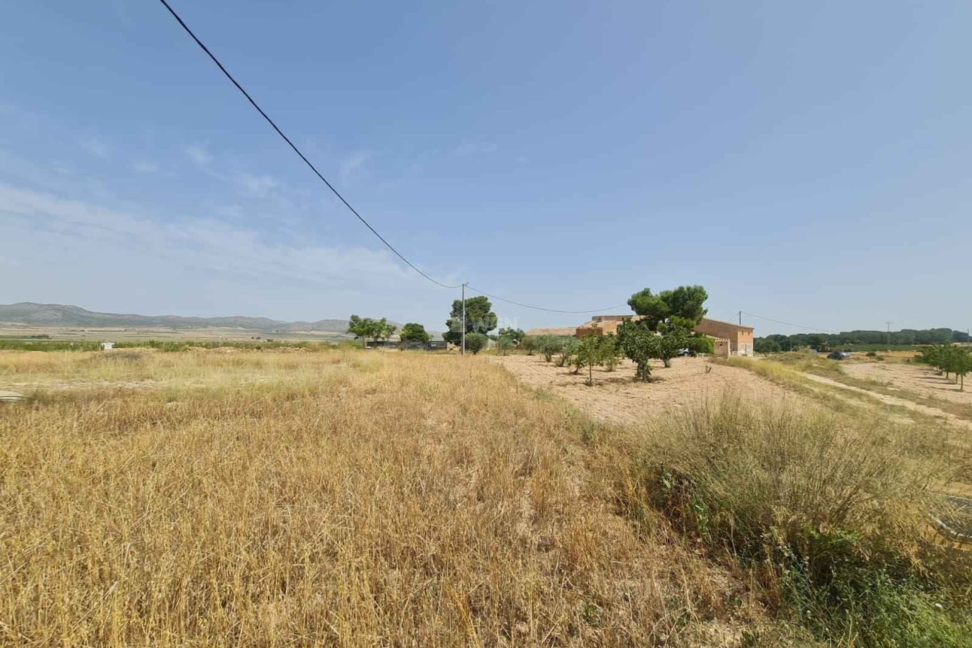 Resale - Plot / Land - Yecla - Inland