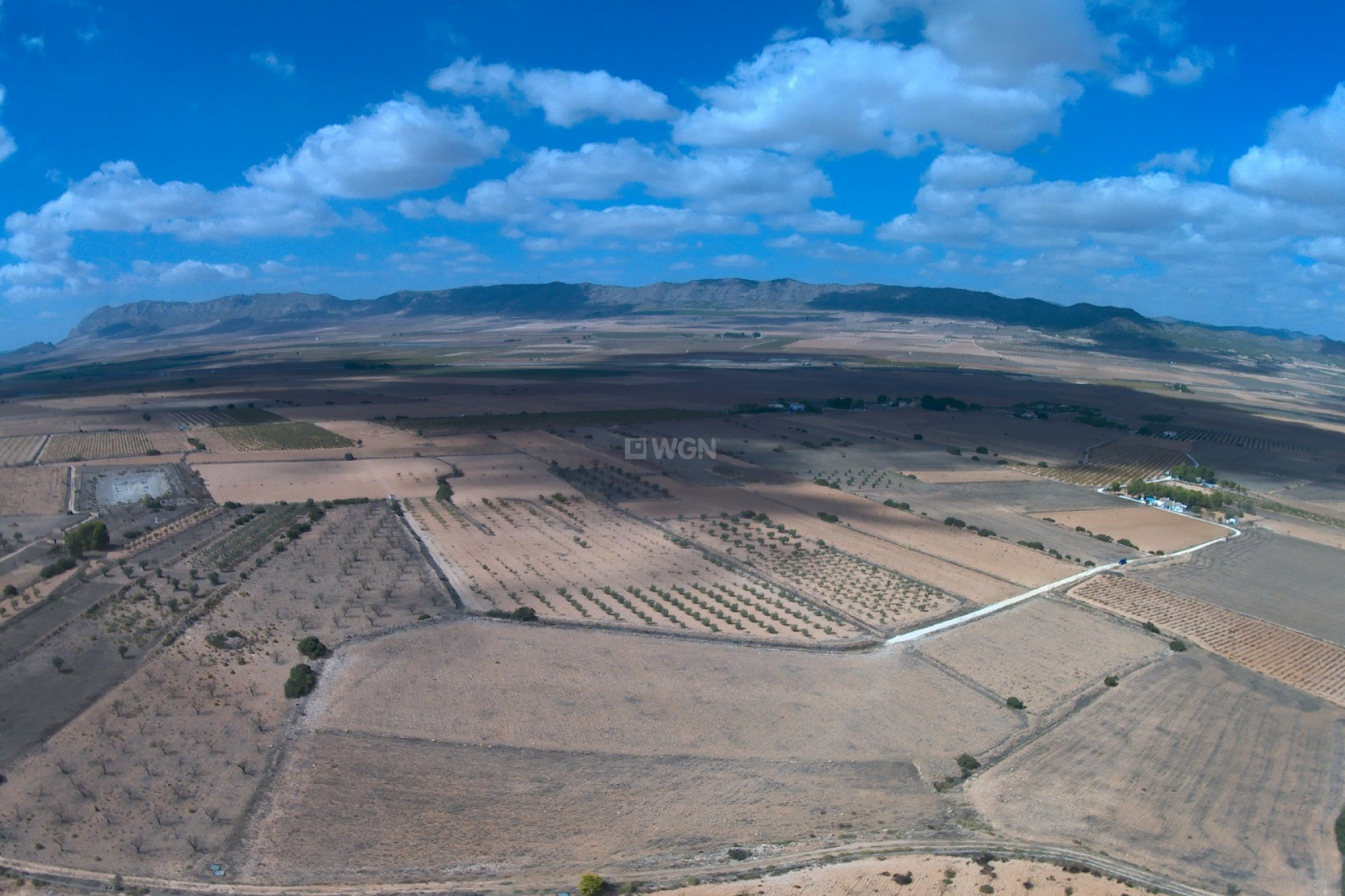 Resale - Plot / Land - Yecla - Inland