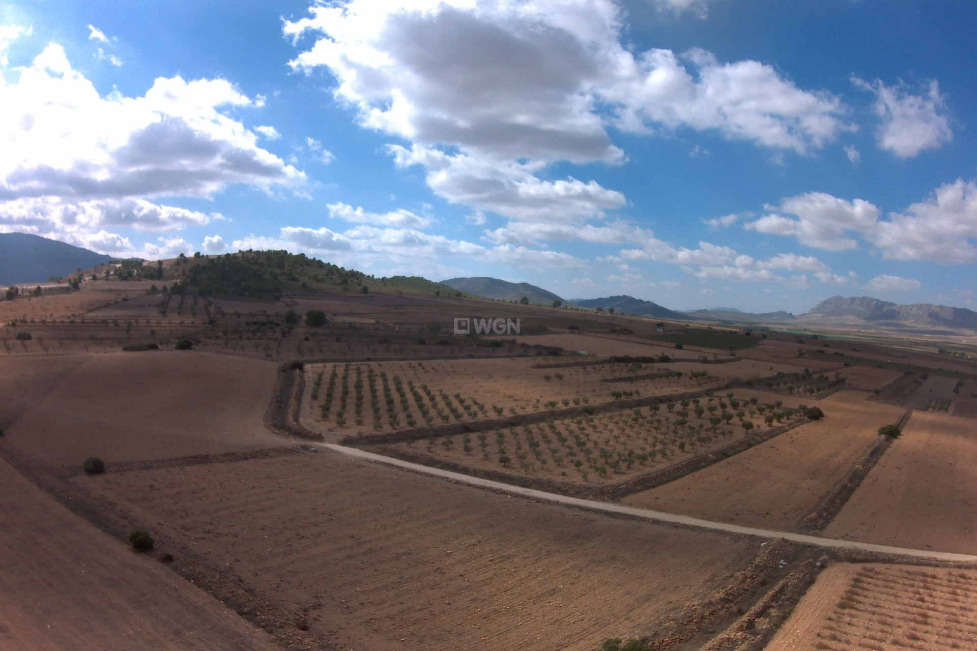 Resale - Plot / Land - Yecla - Inland