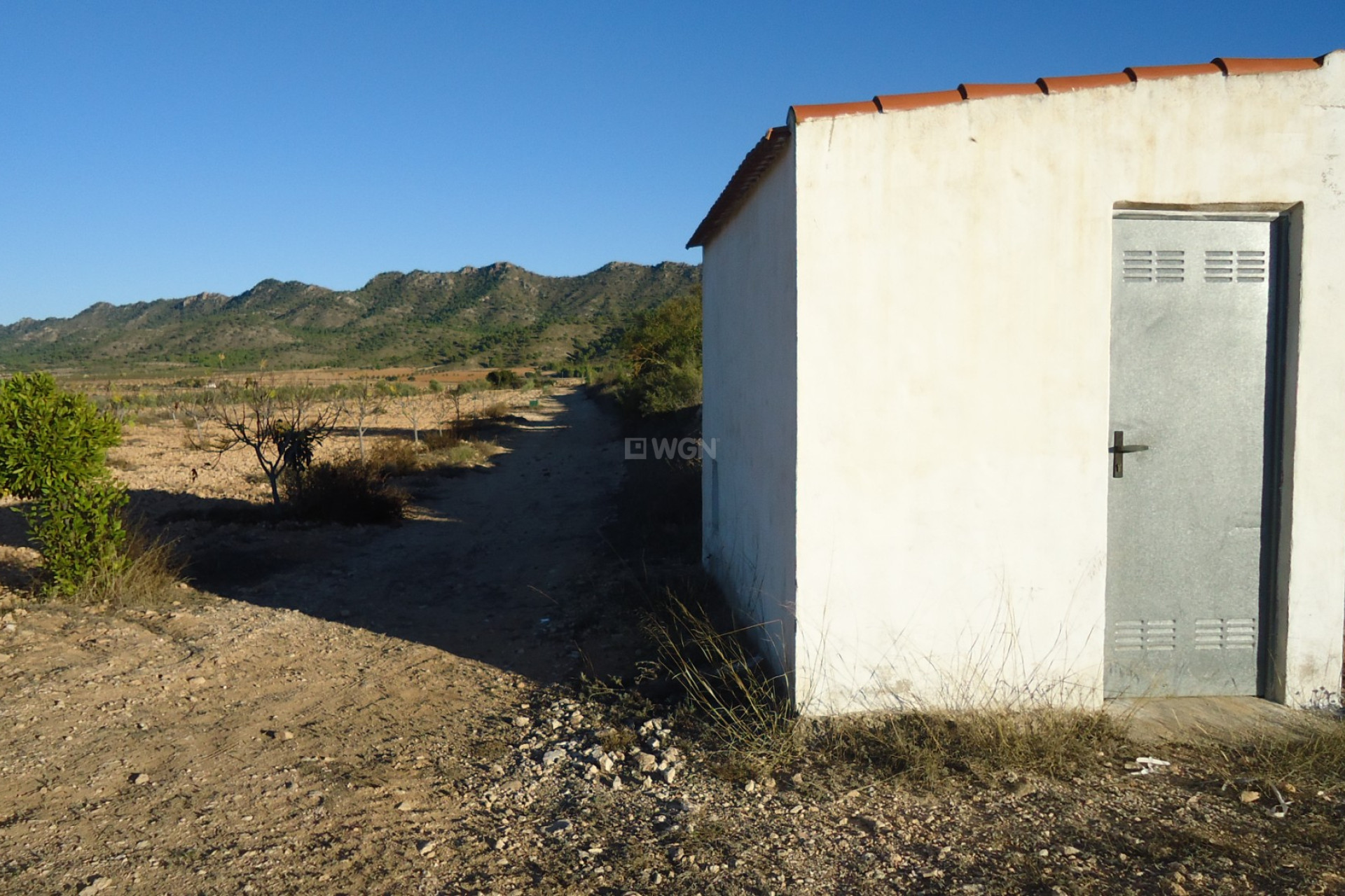 Resale - Plot / Land - Yecla - Inland
