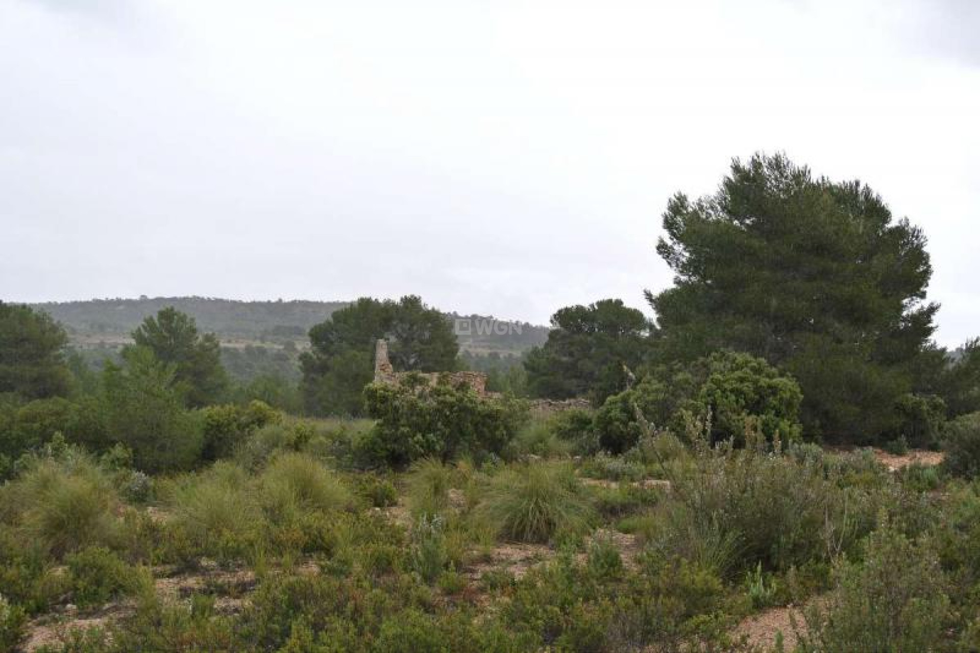 Resale - Plot / Land - Yecla - Inland