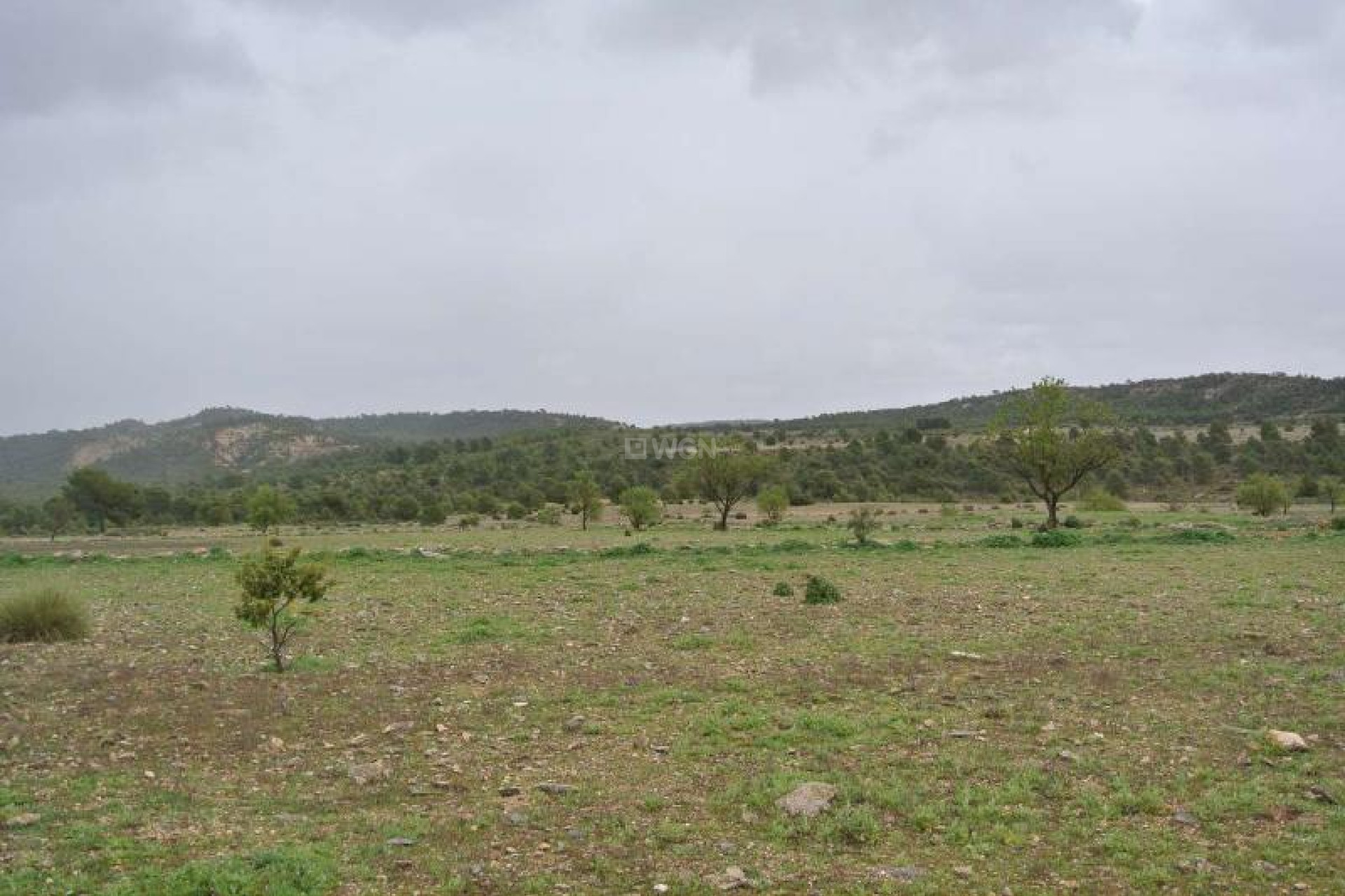 Resale - Plot / Land - Yecla - Inland
