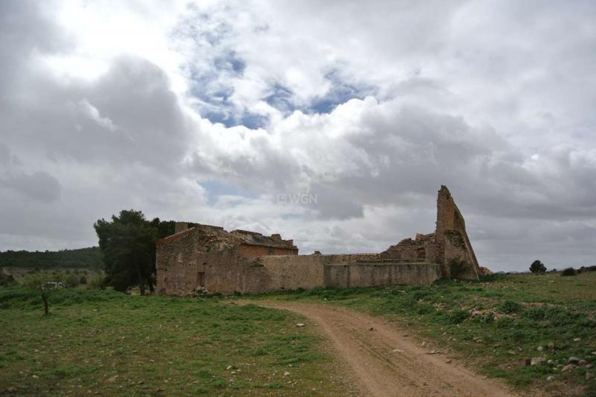 Resale - Plot / Land - Yecla - Inland