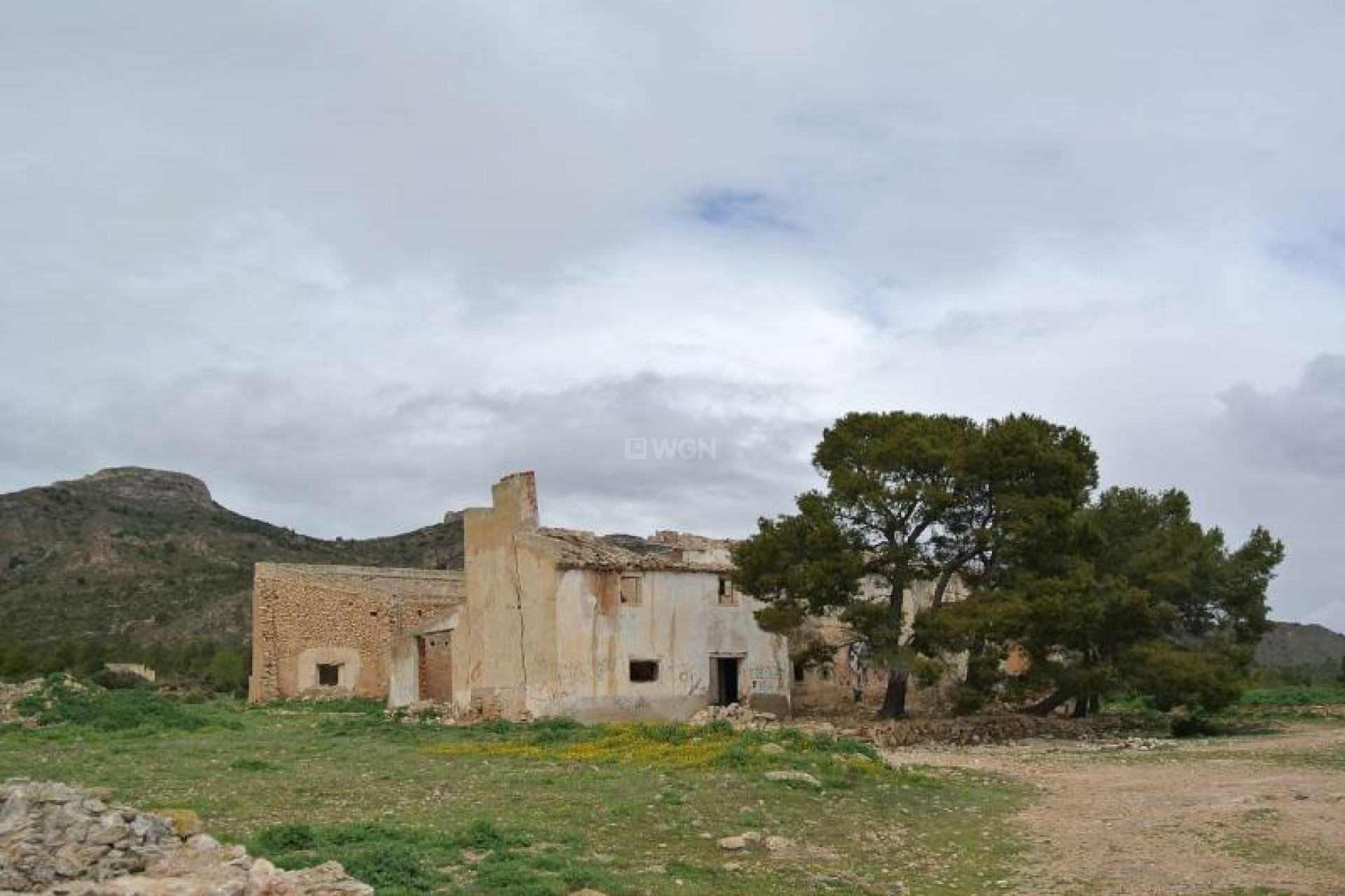 Resale - Plot / Land - Yecla - Inland