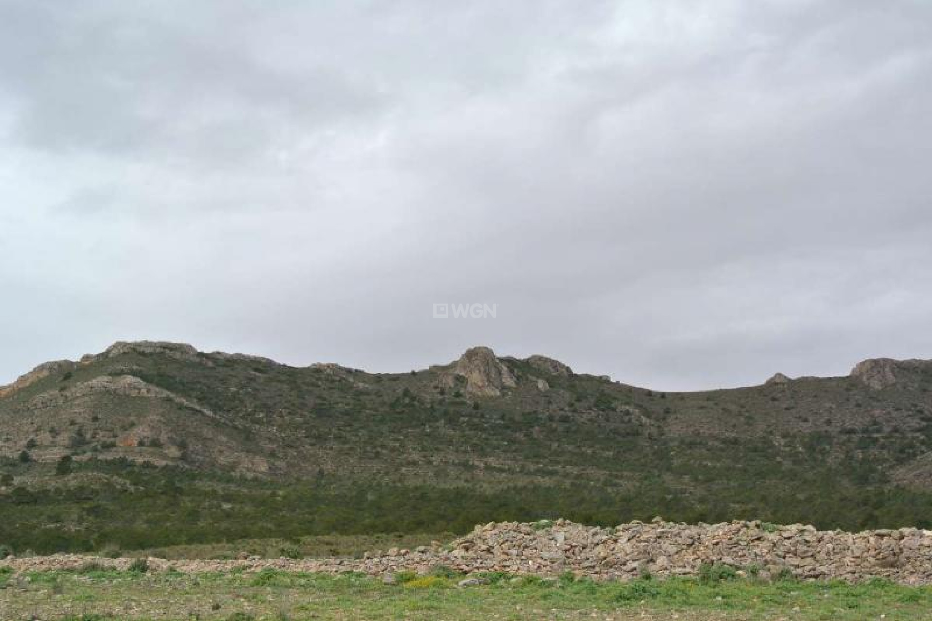 Resale - Plot / Land - Yecla - Inland