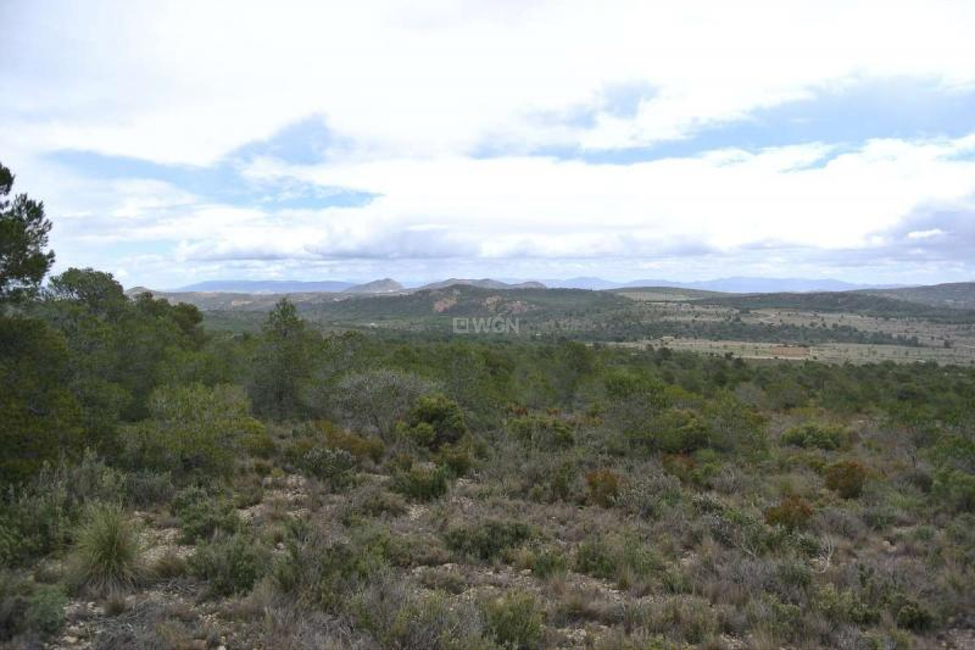 Resale - Plot / Land - Yecla - Inland