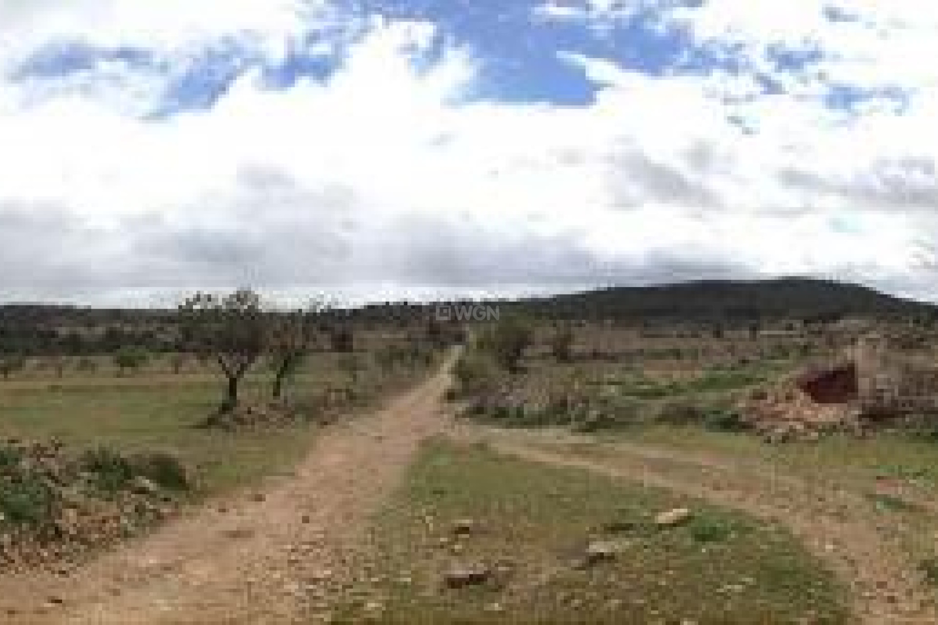 Resale - Plot / Land - Yecla - Inland