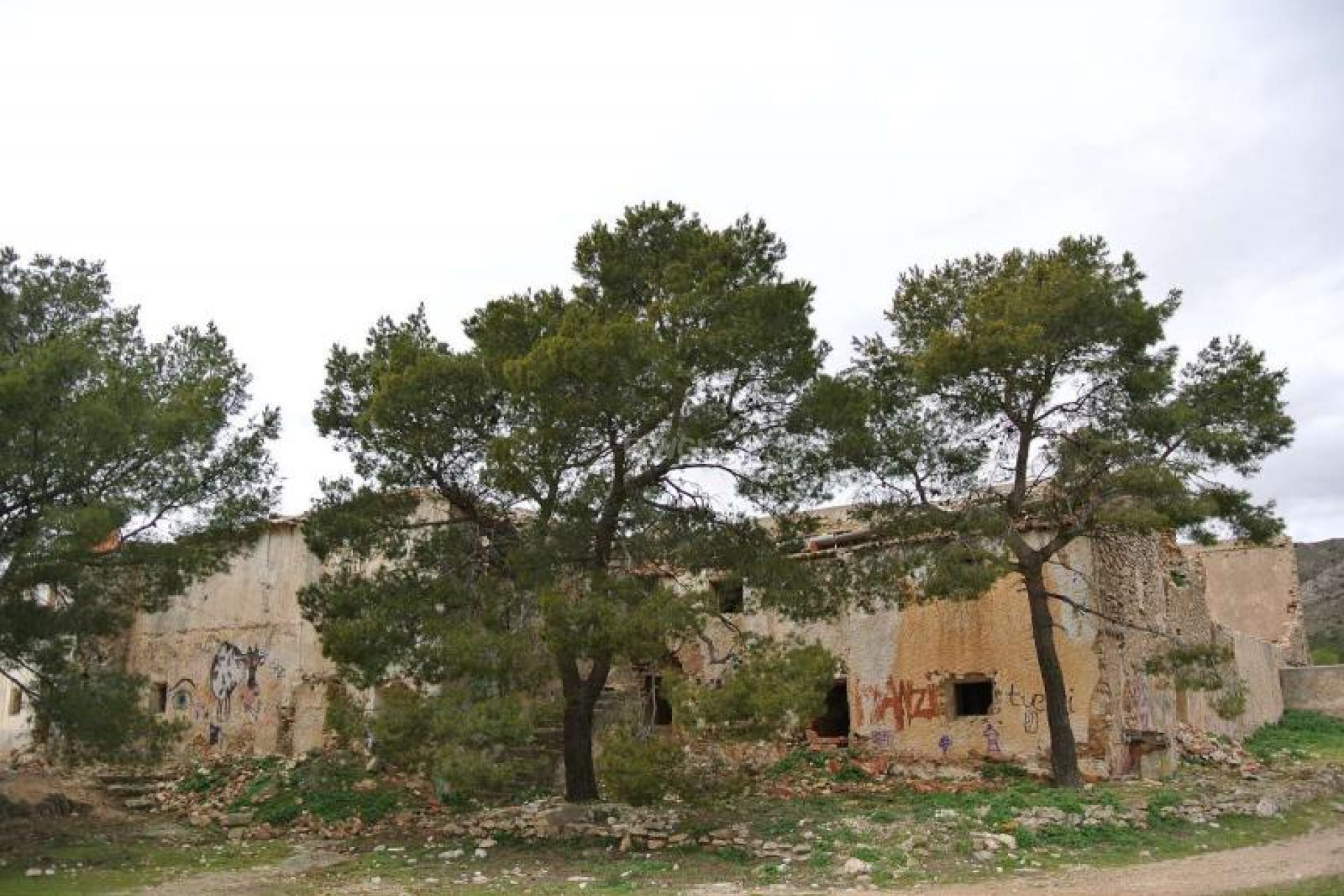 Resale - Plot / Land - Yecla - Inland