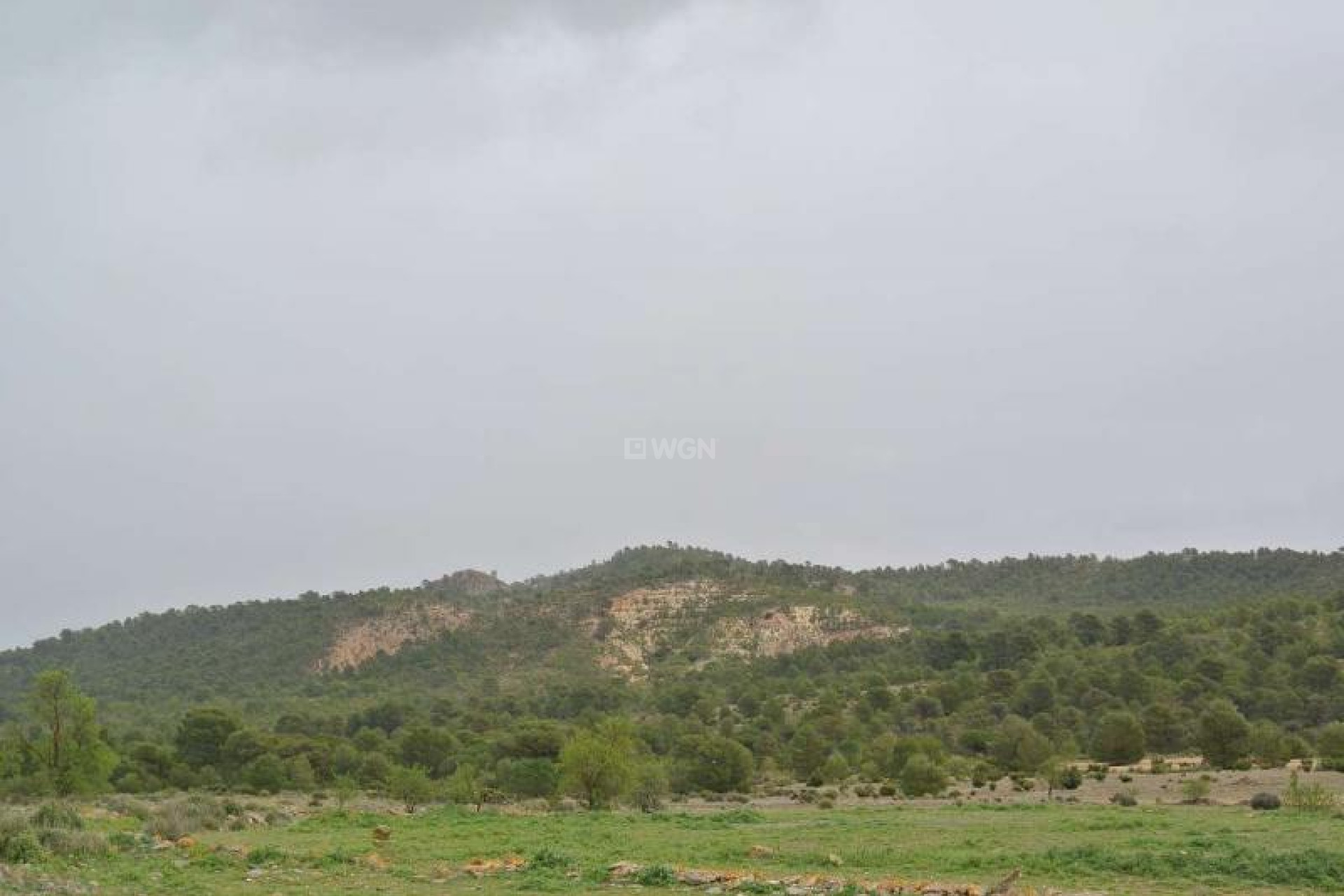 Resale - Plot / Land - Yecla - Inland