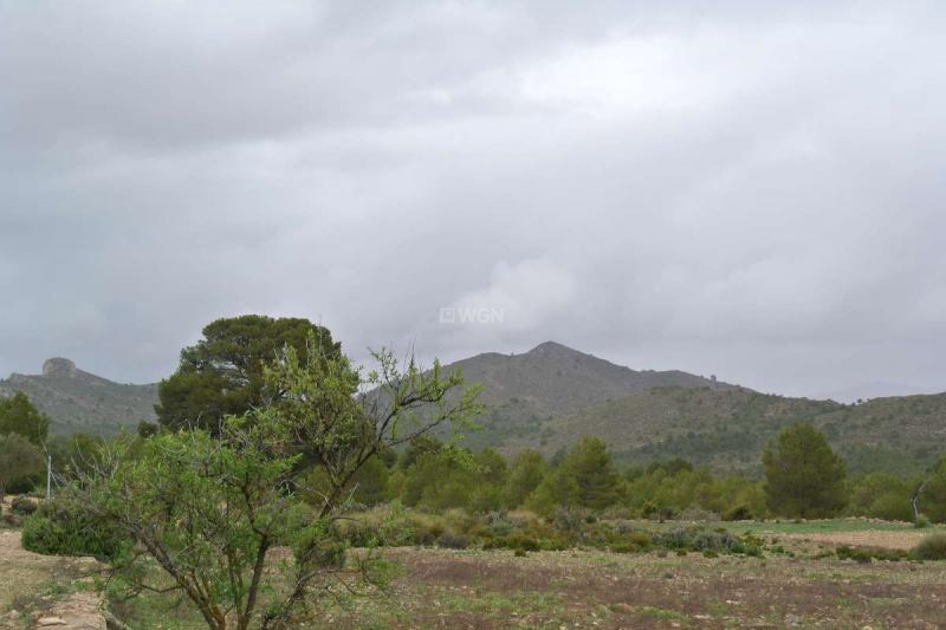 Resale - Plot / Land - Yecla - Inland