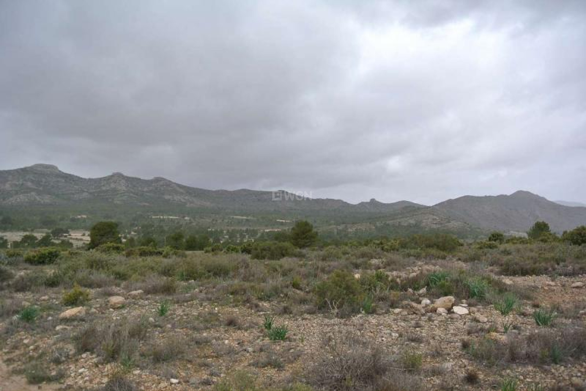 Resale - Plot / Land - Yecla - Inland