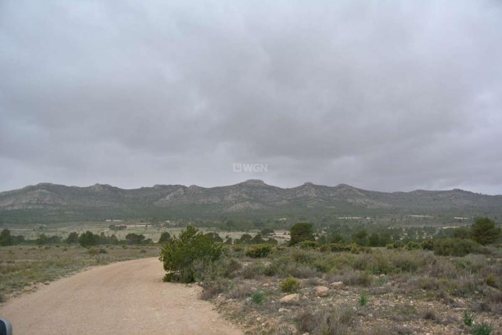 Resale - Plot / Land - Yecla - Inland