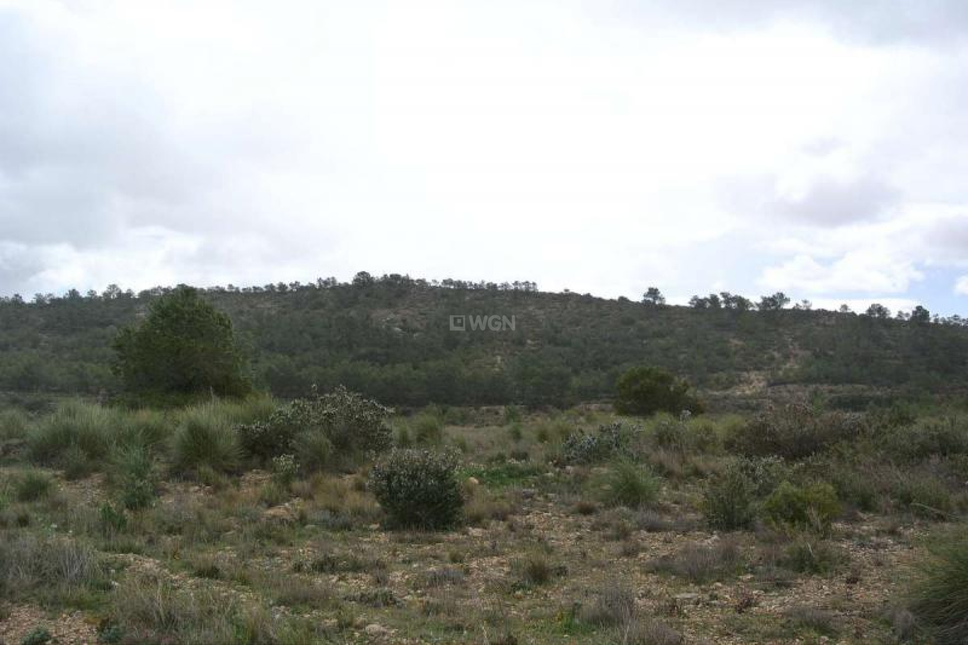 Resale - Plot / Land - Yecla - Inland