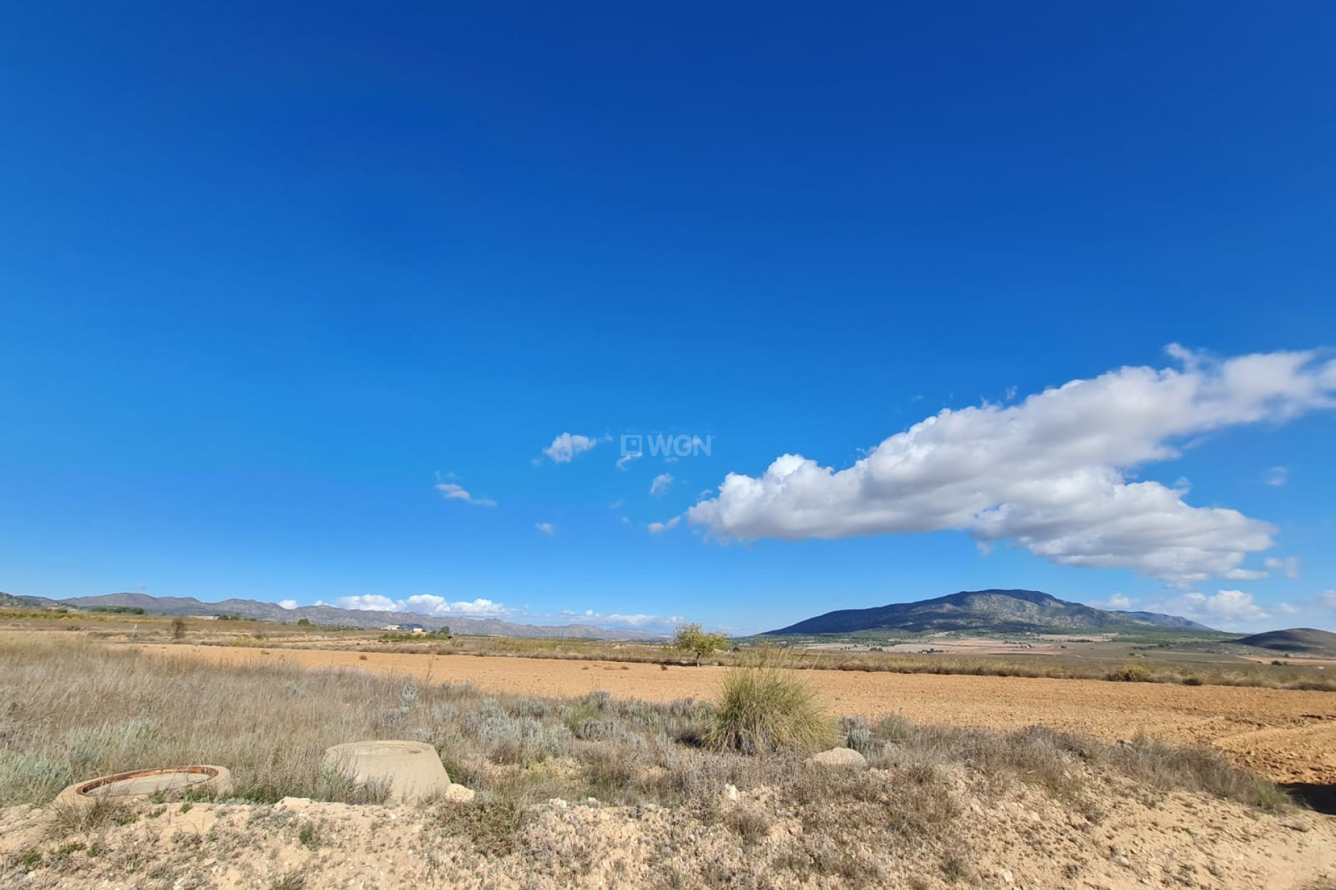 Resale - Plot / Land - Yecla - Inland