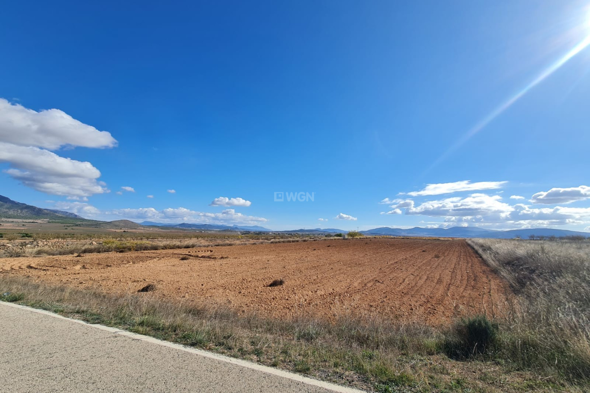 Resale - Plot / Land - Yecla - Inland