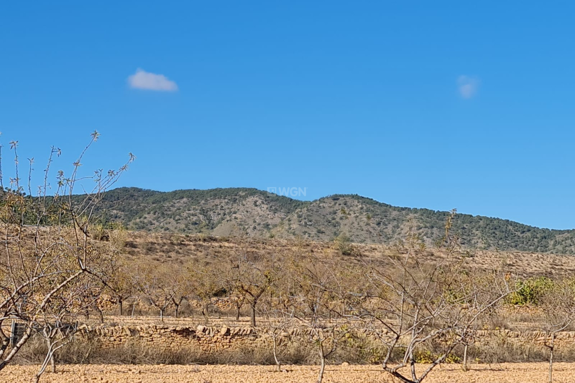 Resale - Plot / Land - Yecla - Inland