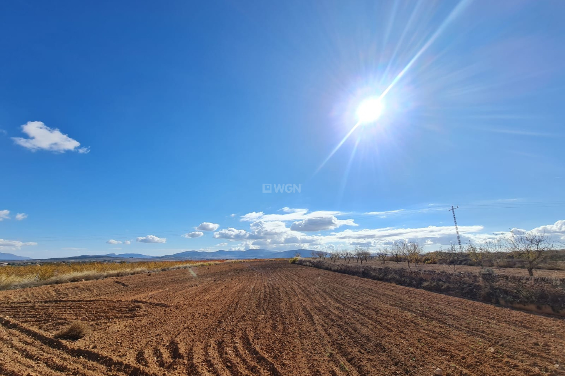 Resale - Plot / Land - Yecla - Inland