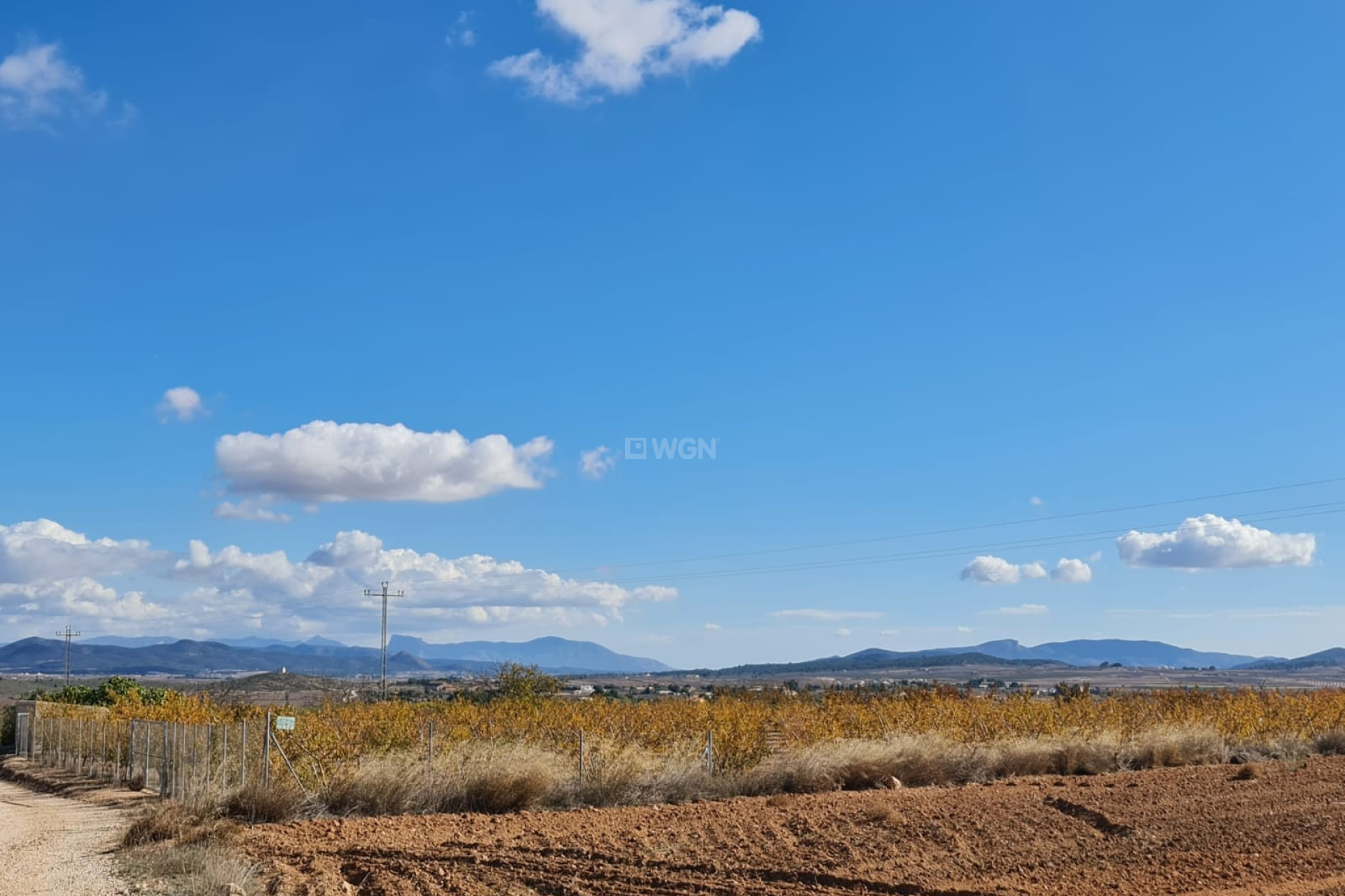 Resale - Plot / Land - Yecla - Inland