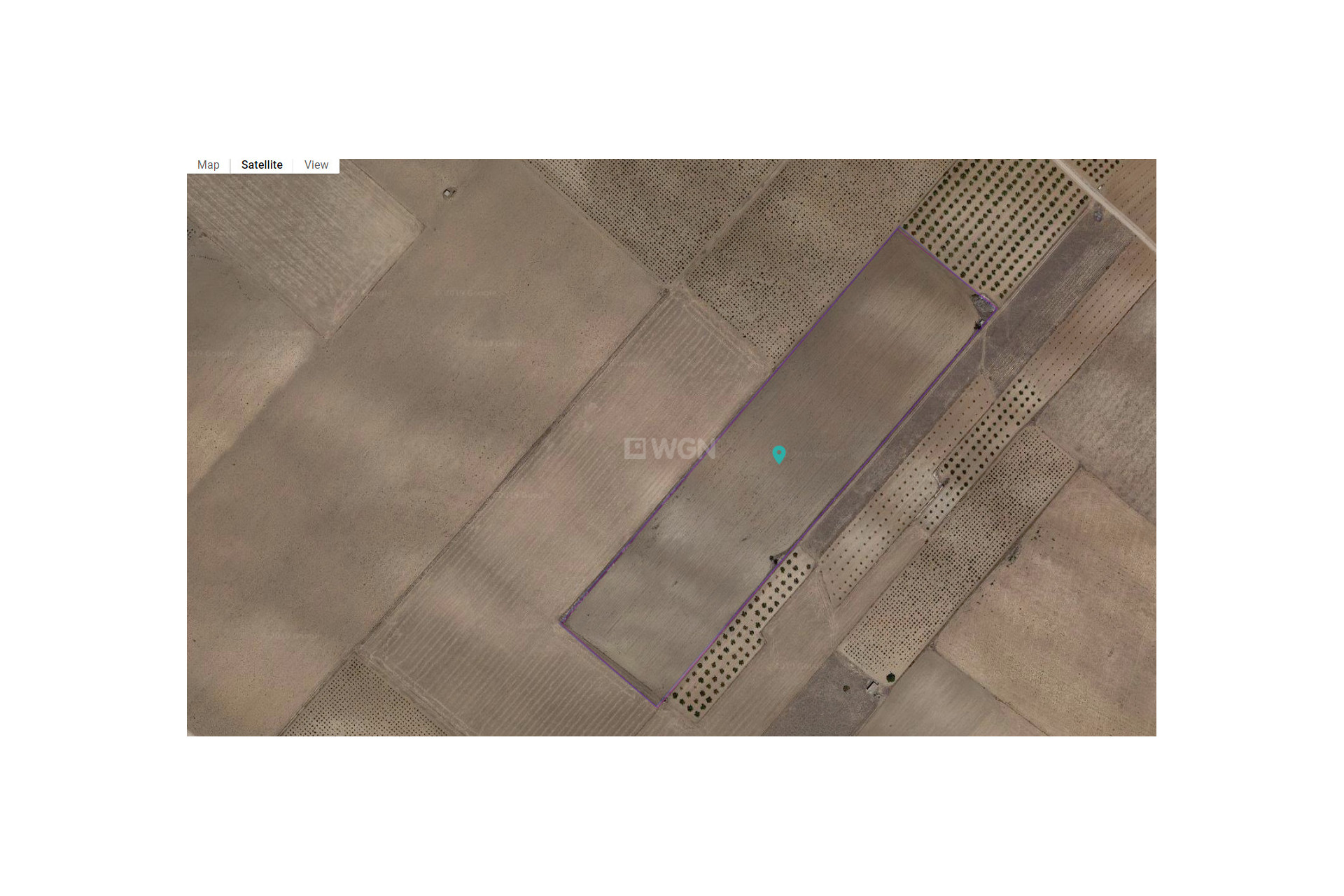 Resale - Plot / Land - Yecla - Inland