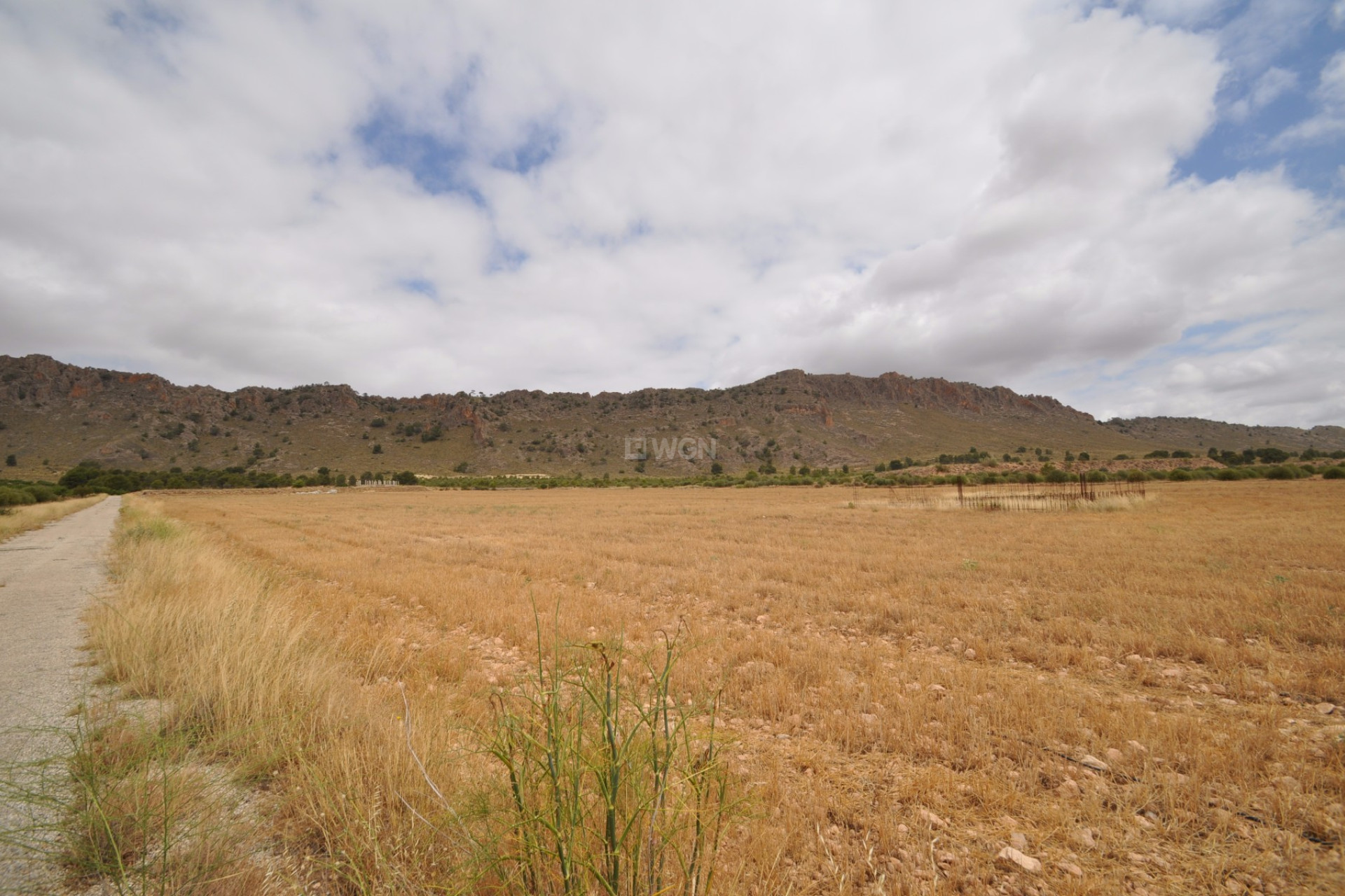 Resale - Plot / Land - Yecla - Inland