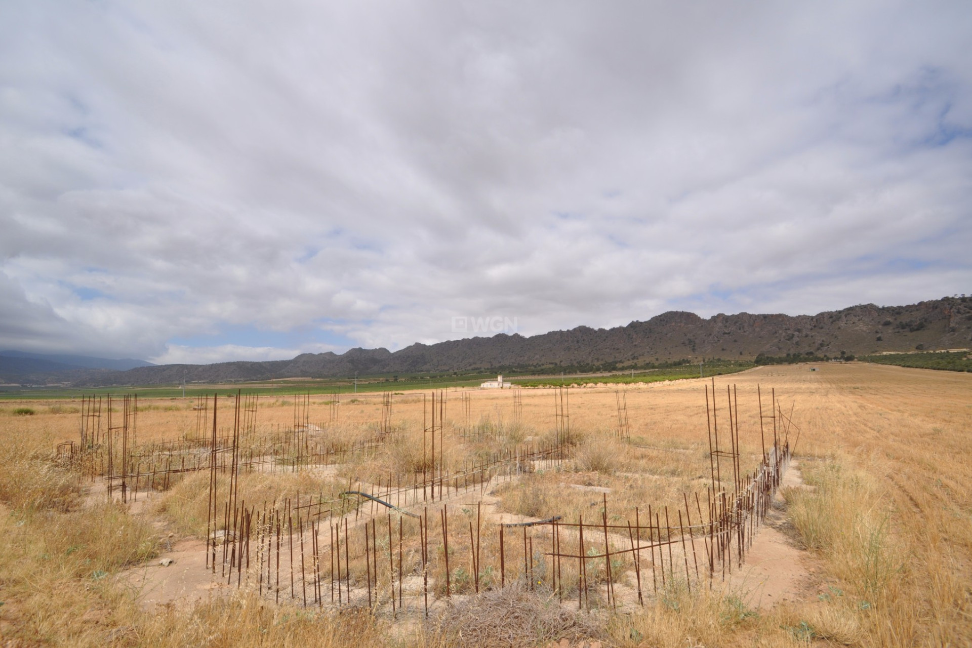 Resale - Plot / Land - Yecla - Inland