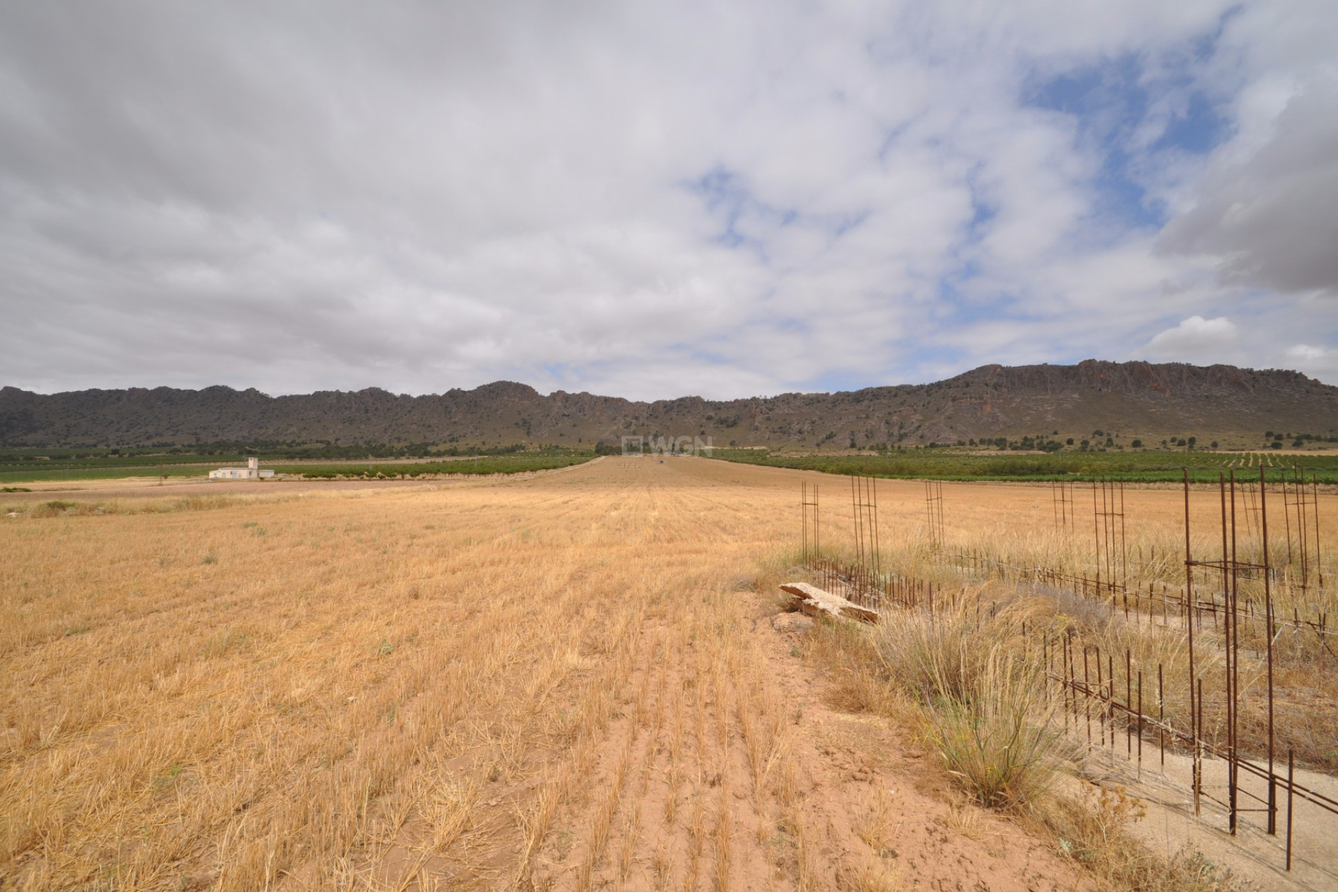 Resale - Plot / Land - Yecla - Inland