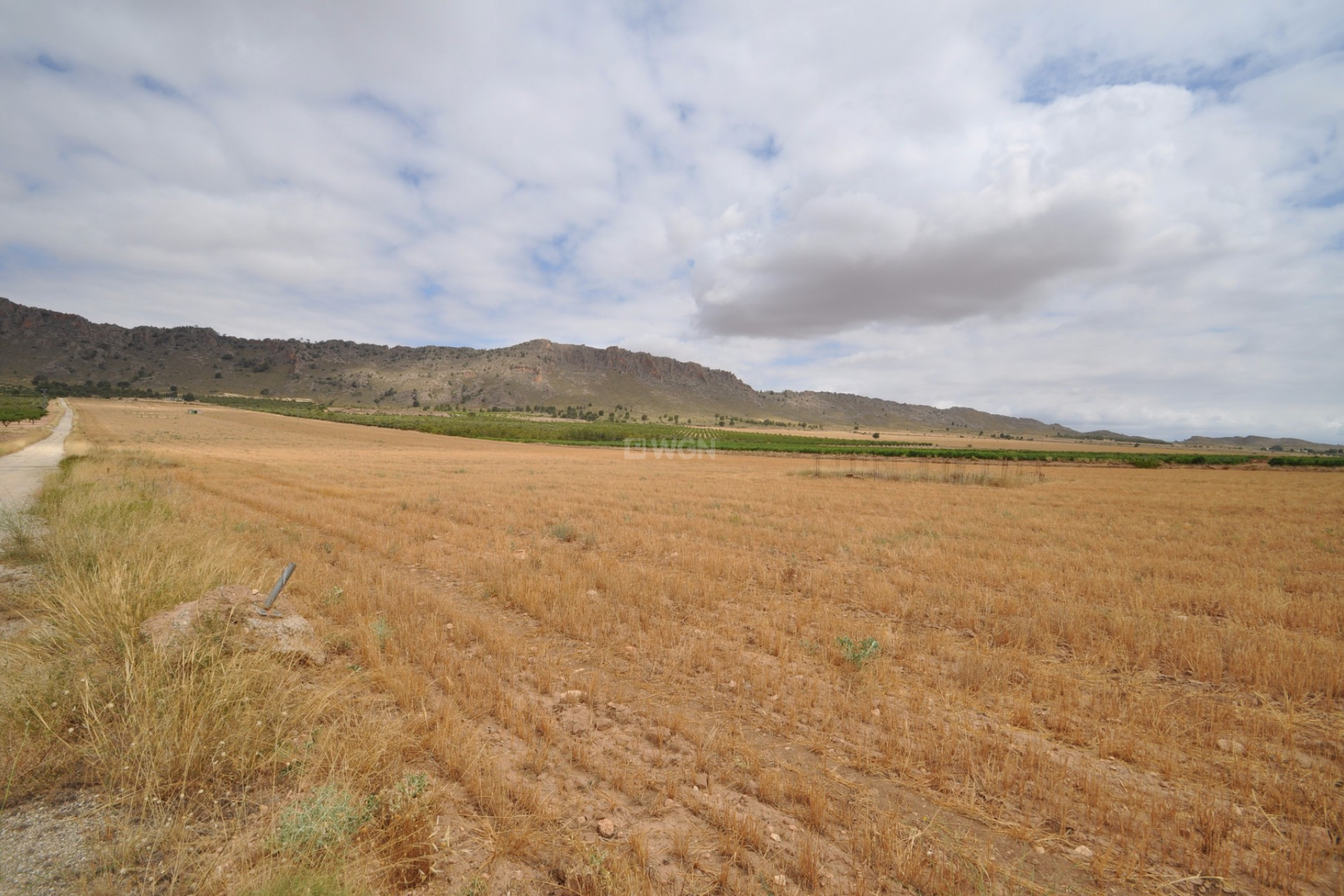 Resale - Plot / Land - Yecla - Inland